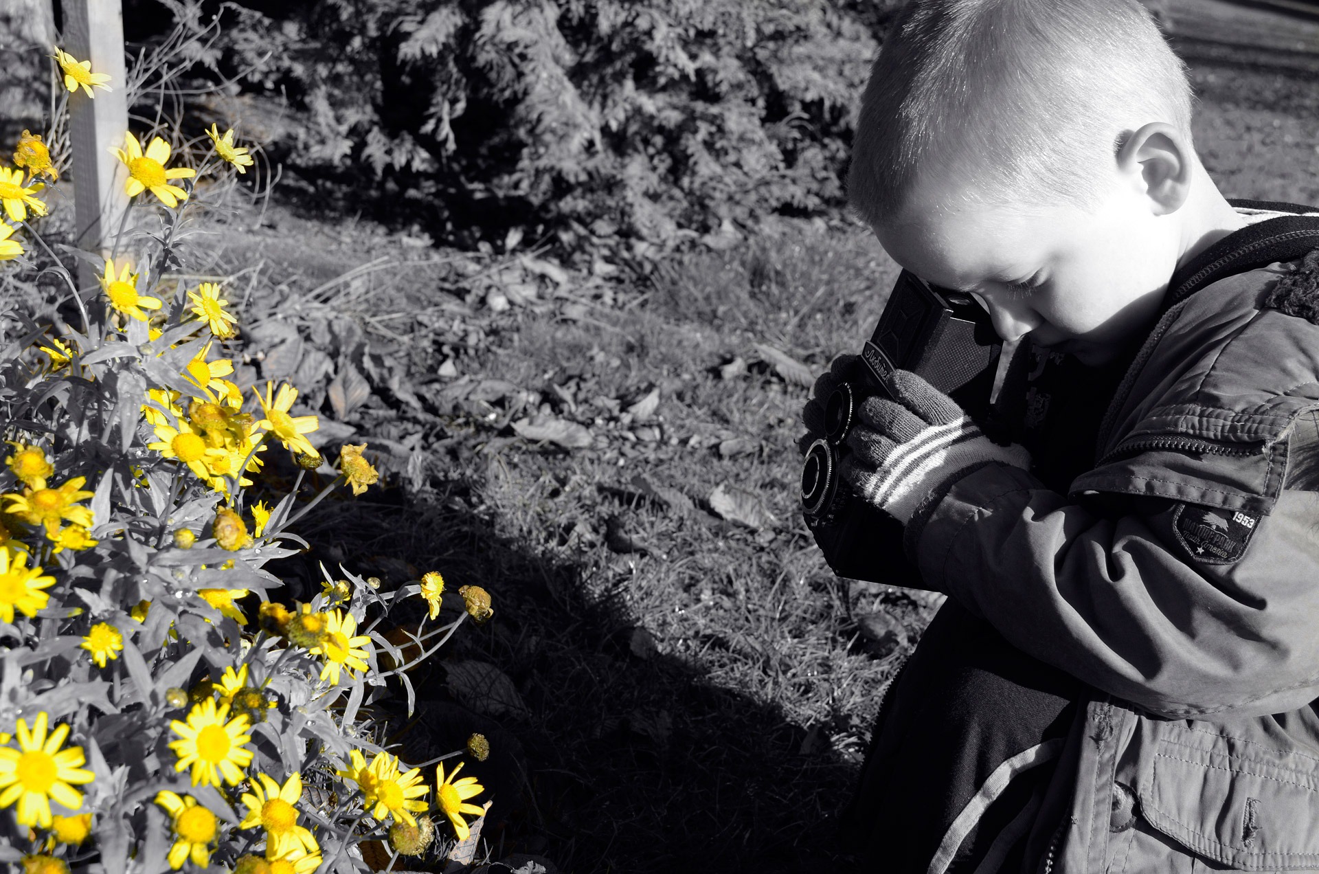 boy, selective, plant, book, flowers, standing, camera - photographic equipment, yellow, old, business, little, childhood, real people, photography themes, HD Wallpaper