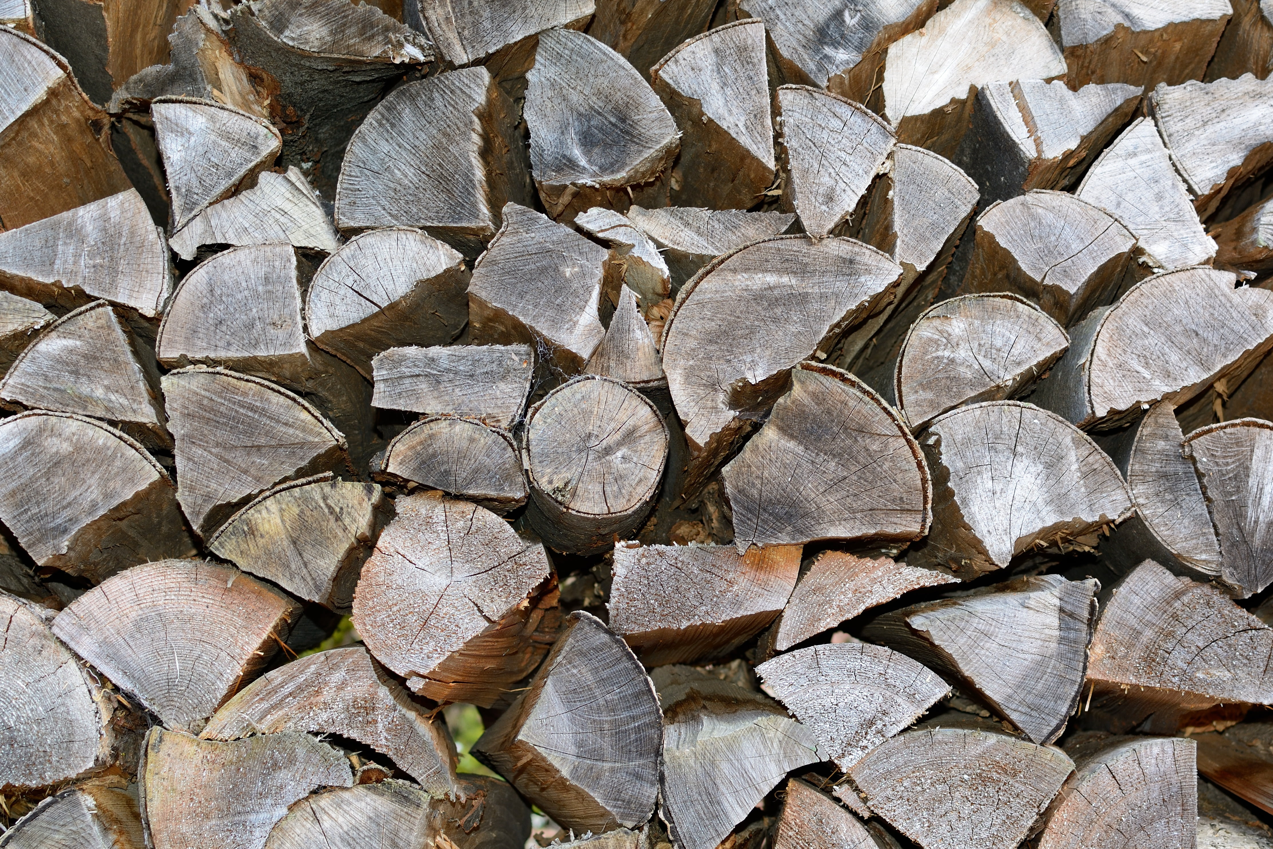 cut, close-up, timber, shape, forest, shock, stack, nature, tree wood, deforestation, lumber industry, abundance, no people, dry wood, firewood stack, tree, HD Wallpaper