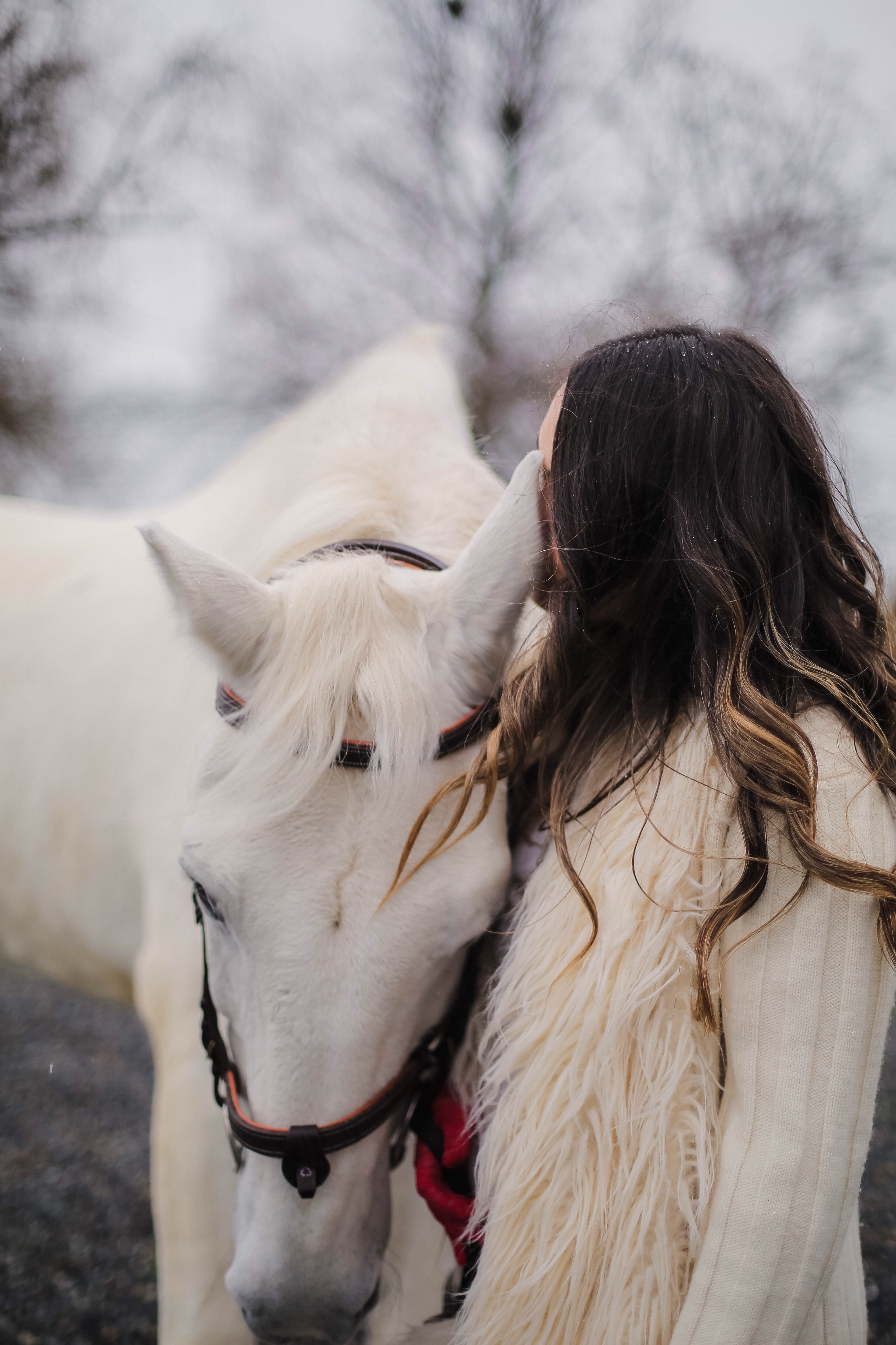 horse, standing, animal head, one animal, hairstyle, l, g, beside, pets, working animal, livestock, outside, animal wildlife, white color, woman, focus on foreground, Phone HD Wallpaper