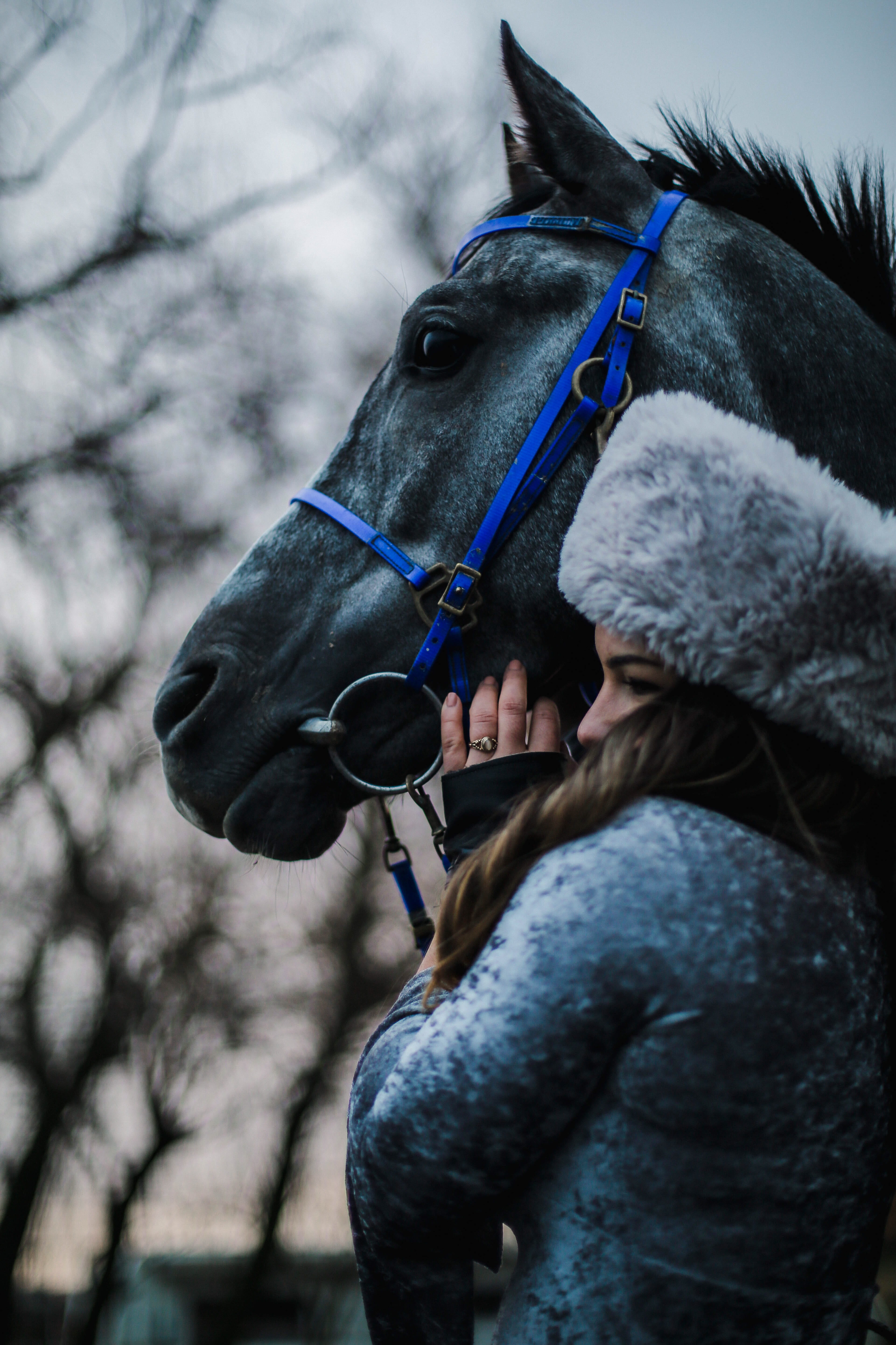 domestic animals, bridle, standing, l, warm clothing, animal lover, day, horse, 5K, animal, winter, woman, animal head, herbivorous, livestock, outdoors, Phone HD Wallpaper