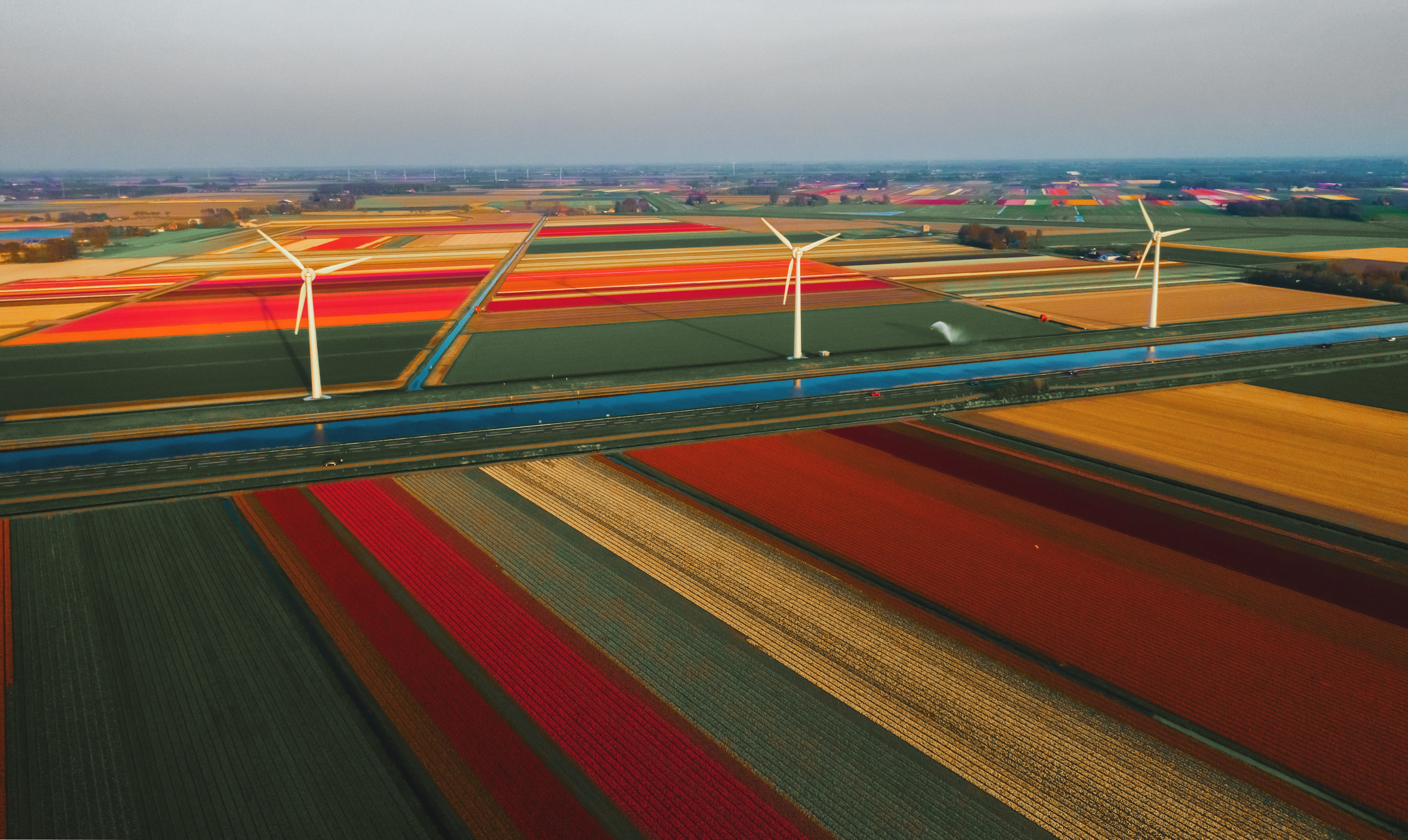 built structure, 5K, aerial view, tulipfield, scenery, unnamed road, airfield, no people, callantsoog, multi colored, field, airport, landscape, ladscape, HD Wallpaper