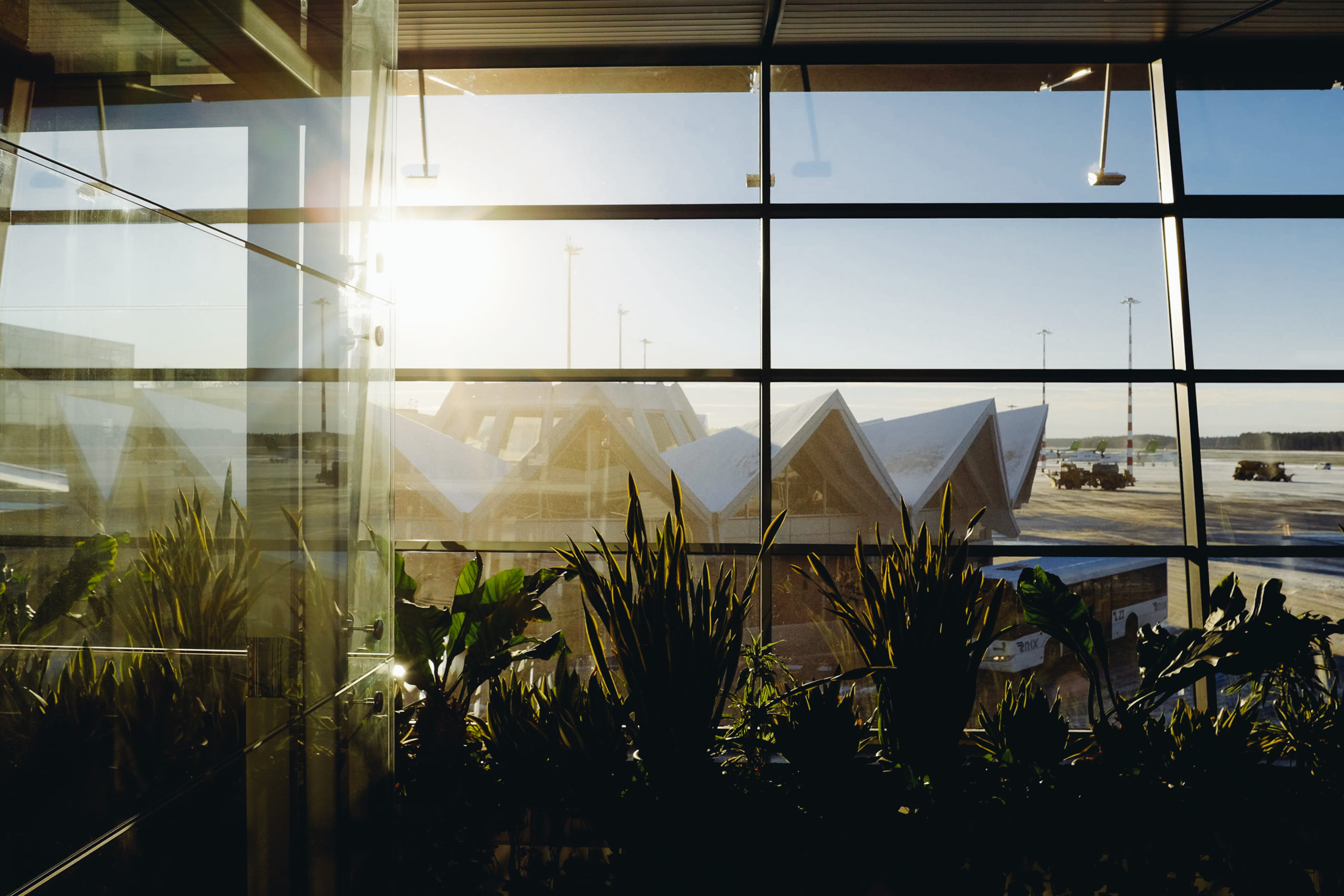 building, modern, business, built Structure, plant, other, growth, architecture, plant nursery, transparent, reflection, glass, waiting area, sky, nature, HD Wallpaper