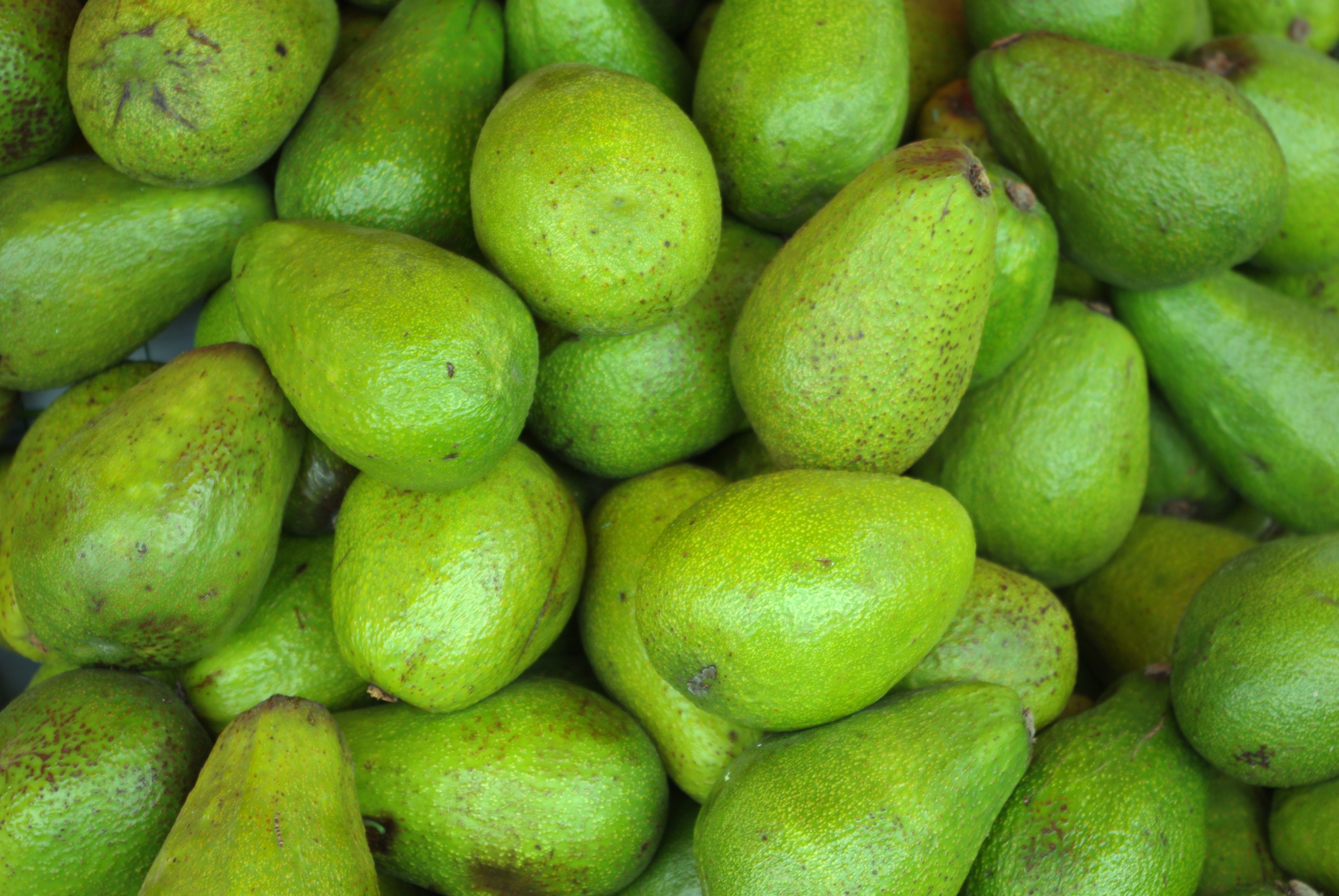 ripe, high angle view, retail, close-up, full frame, frisch, citrus fruit, sour taste, large group of objects, 4K, wellbeing, feed, vegan, nutrition, abundance, HD Wallpaper