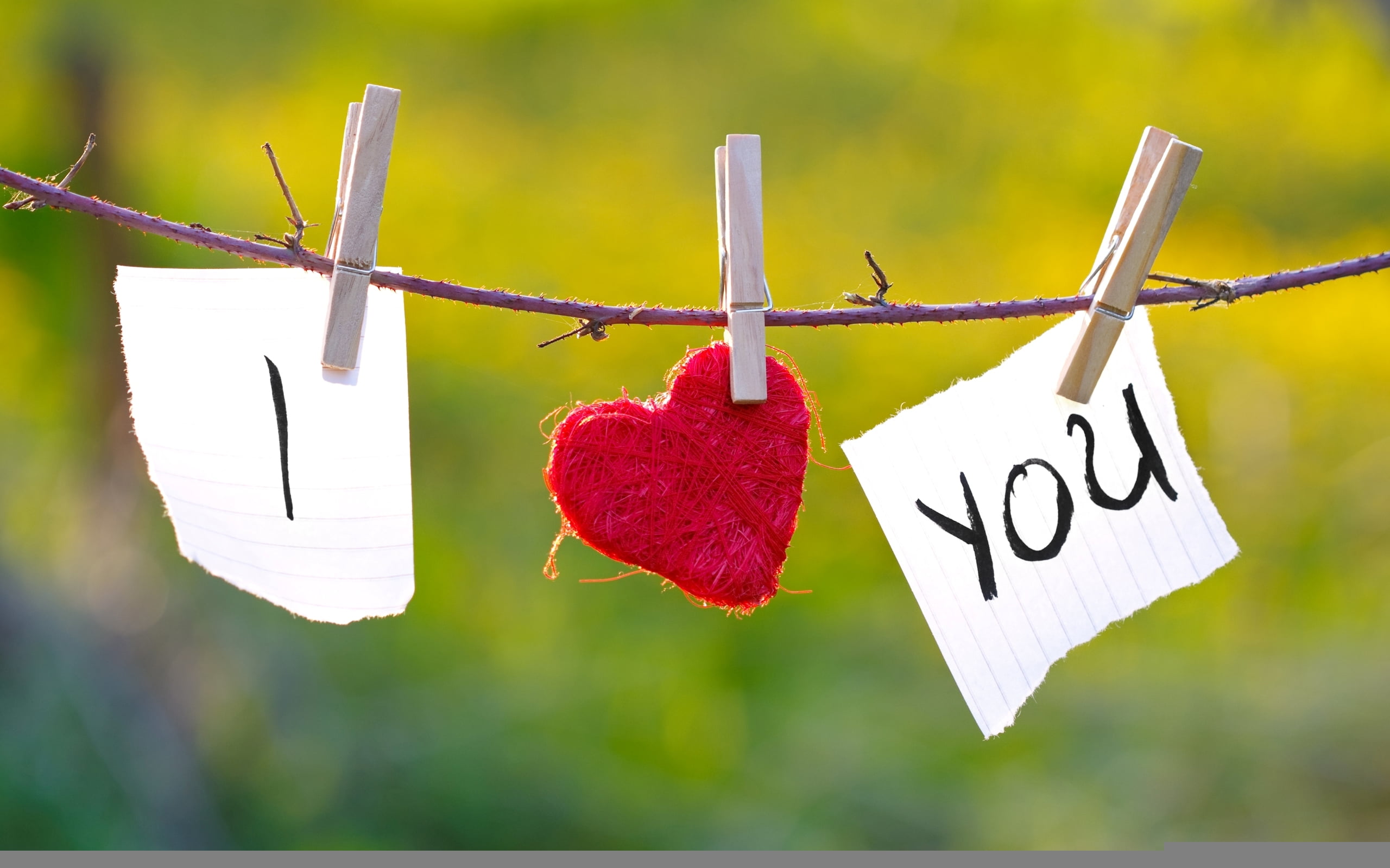 label, emotion, string, reminder, clothing, laundry, clothespin, day, focus on foreground, outdoors, wood - Material, 2K, red, i love you, rope, Heart, HD Wallpaper