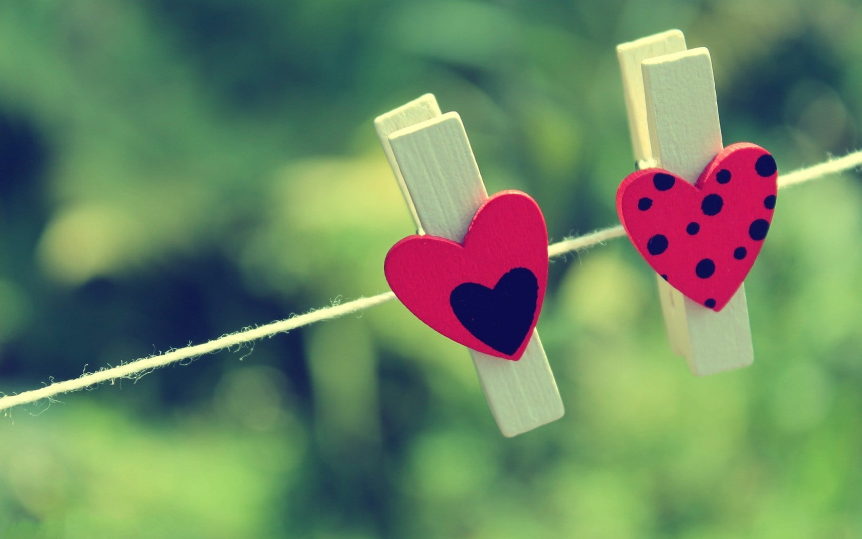 clothes, art and craft, green color, pink color, clothespins, two, red, brown, clips, positive emotion, hearts, 720P, Love, heart, plant, close-up, outdoors, HD Wallpaper