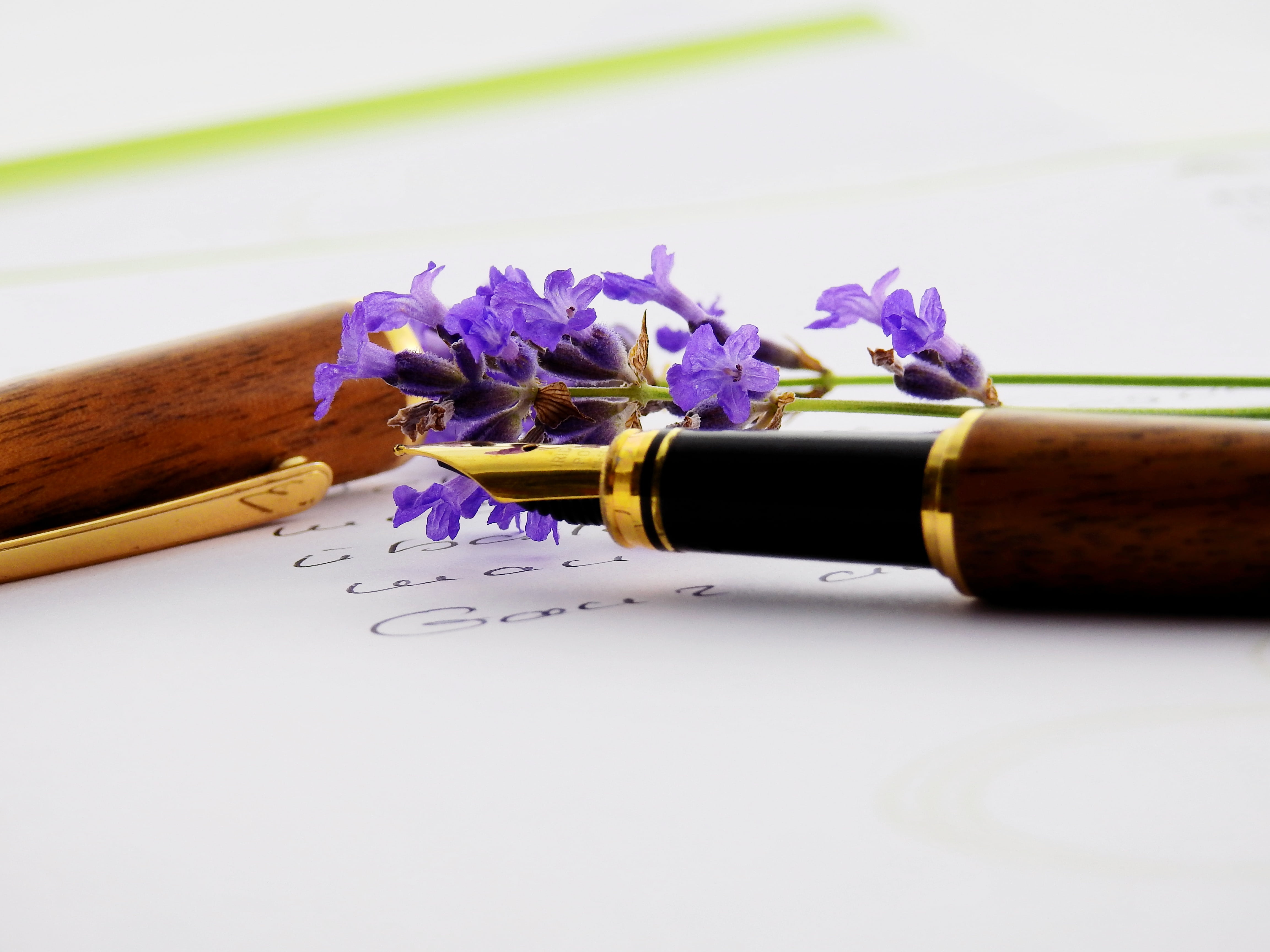 filler, freshness, lavender, writing tool, flowering plant, nature, letters, communication, close-up, contact, publication, plant, office, 4K, bloom, leave, HD Wallpaper