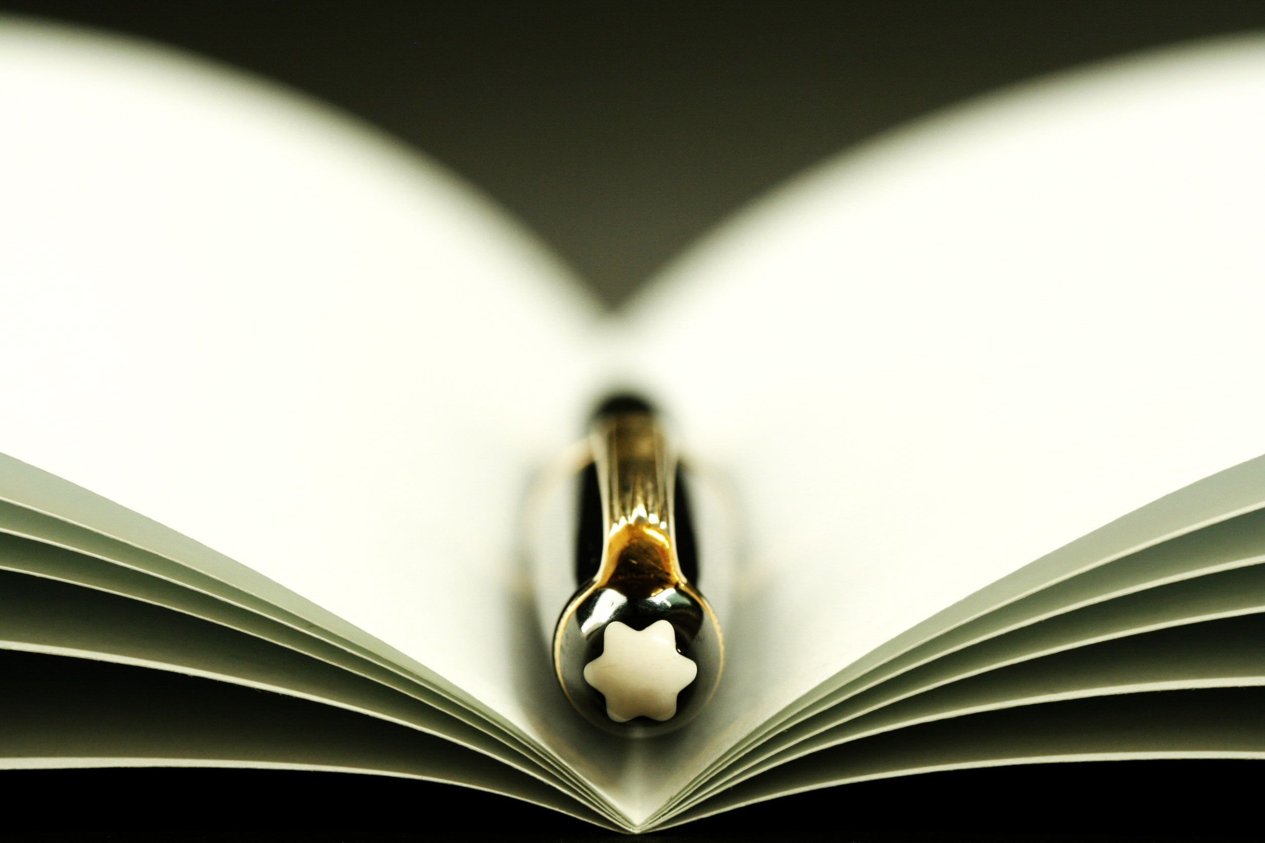 page, twist, selective focus, Symmetry, 1080P, Philippines, empty, white, literature, DOF, education, book, black, photography, Montblanc, Gep, Pen, open, HD Wallpaper