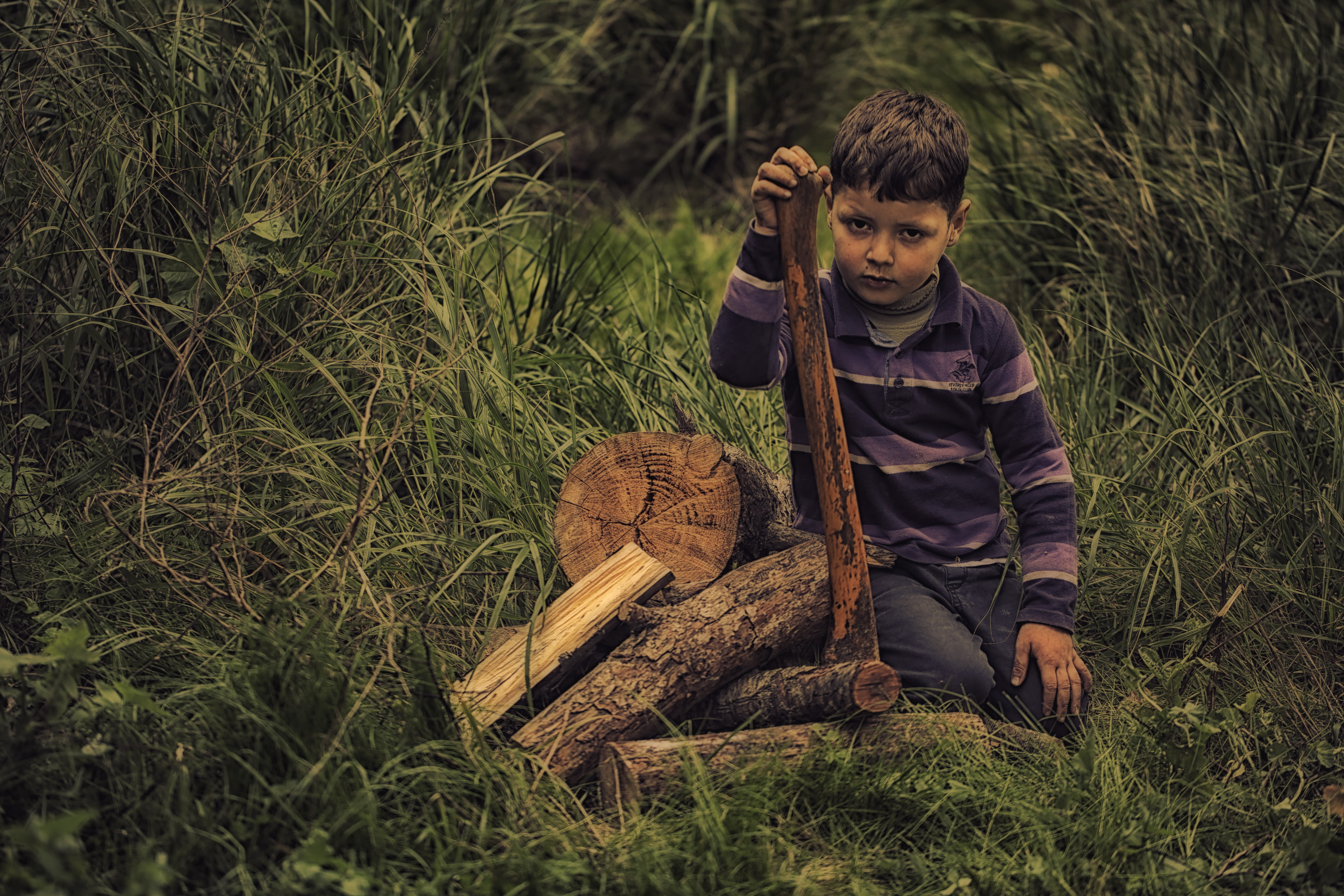 day, brown, nature, work, one girl only, males, shirt, child, purple, holding, boy, plant, polo, boys, lifestyles, hard, innocence, casual clothing, one person, HD Wallpaper