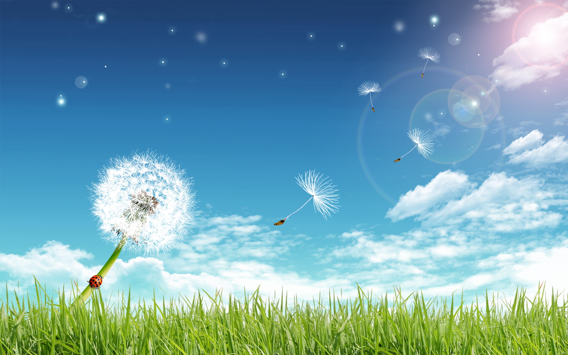light, dreamy, sun, 1080P, hd, fresh, fantasy, HD Wallpaper