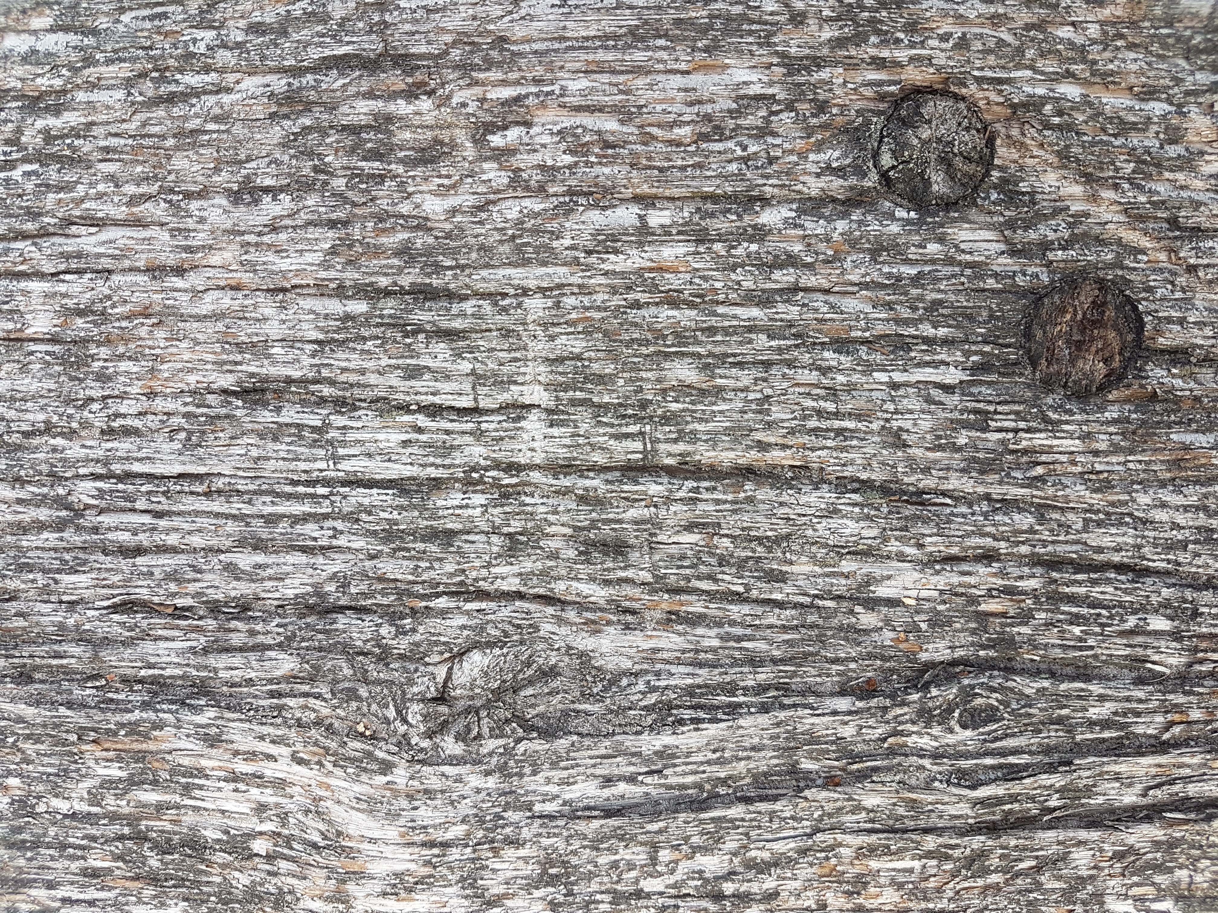 pattern, full frame, textured, no people, germany, detail, day, close-up, tree trunk, outdoors, 4K, wood grain, rough, wood - material, brown, trunk, weathered, HD Wallpaper
