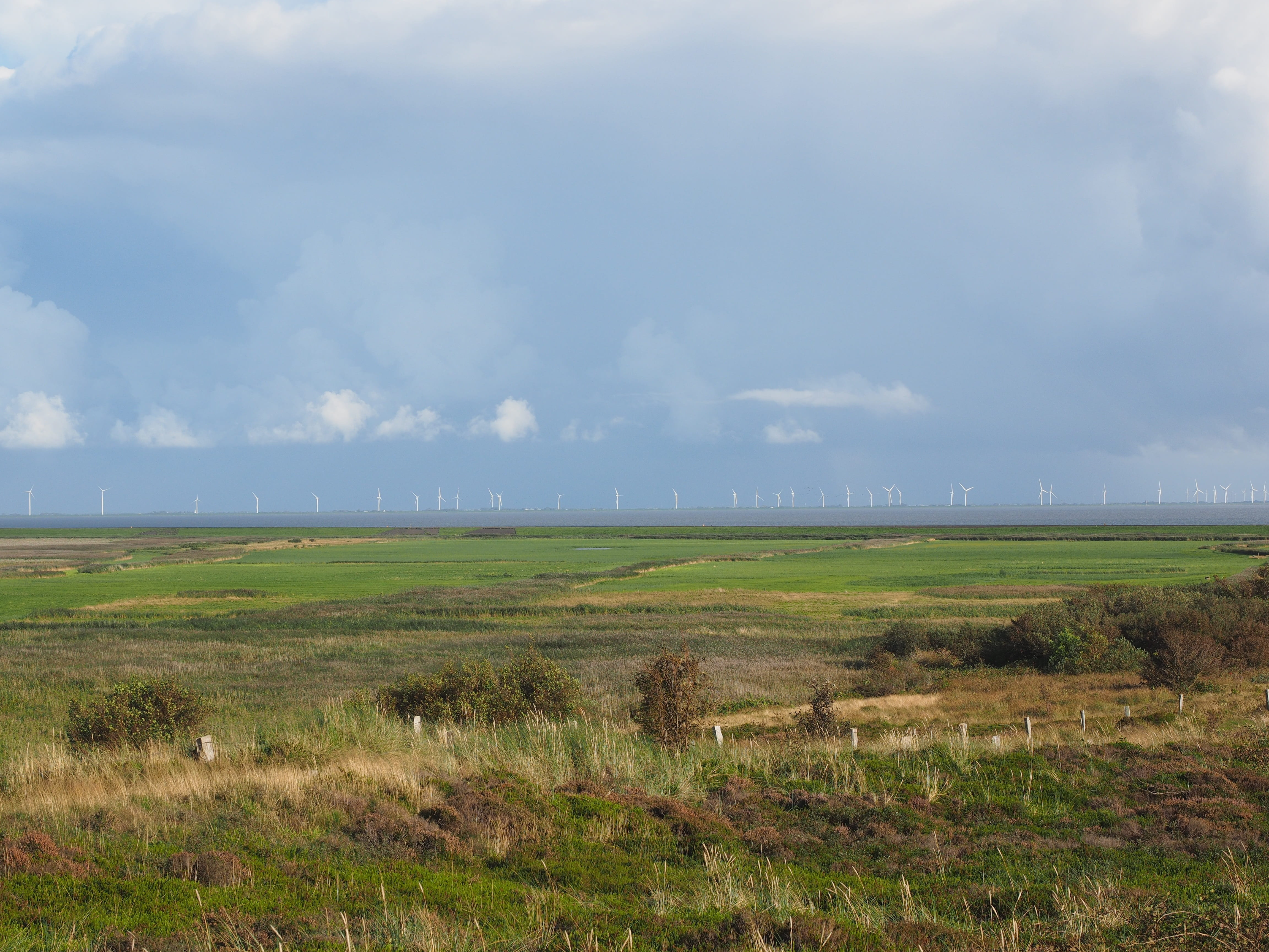 non-urban scene, train, grass, sky, idyllic, landscape, sylt, nature, environment, day, hindenburg damm, scenics - nature, wind power plants, growth, rural scene, HD Wallpaper