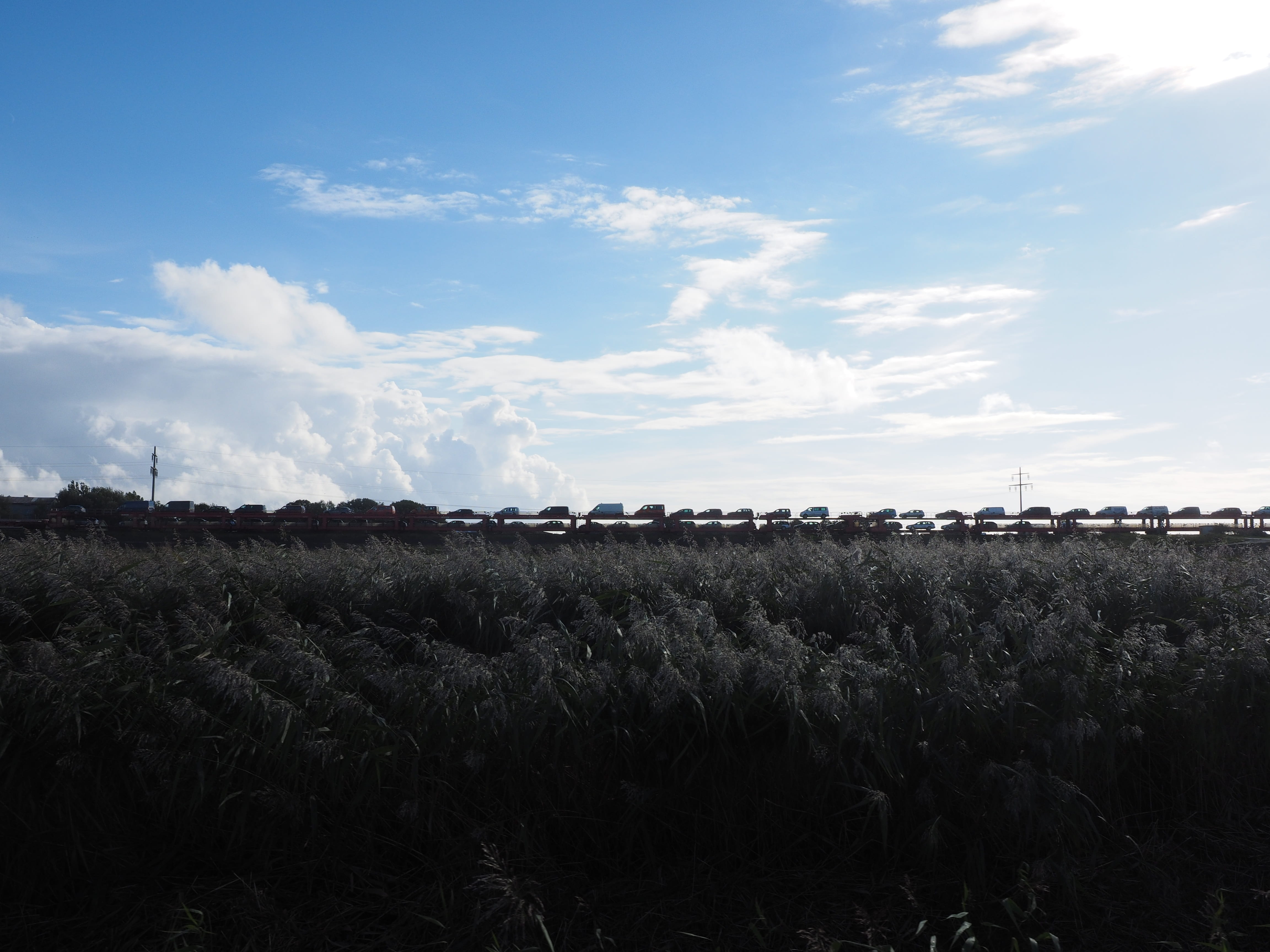 environment, hindenburg damm, rural scene, scenics - nature, sylter car train, agriculture, tranquility, landscape, field, transit, grass, beauty in nature, HD Wallpaper