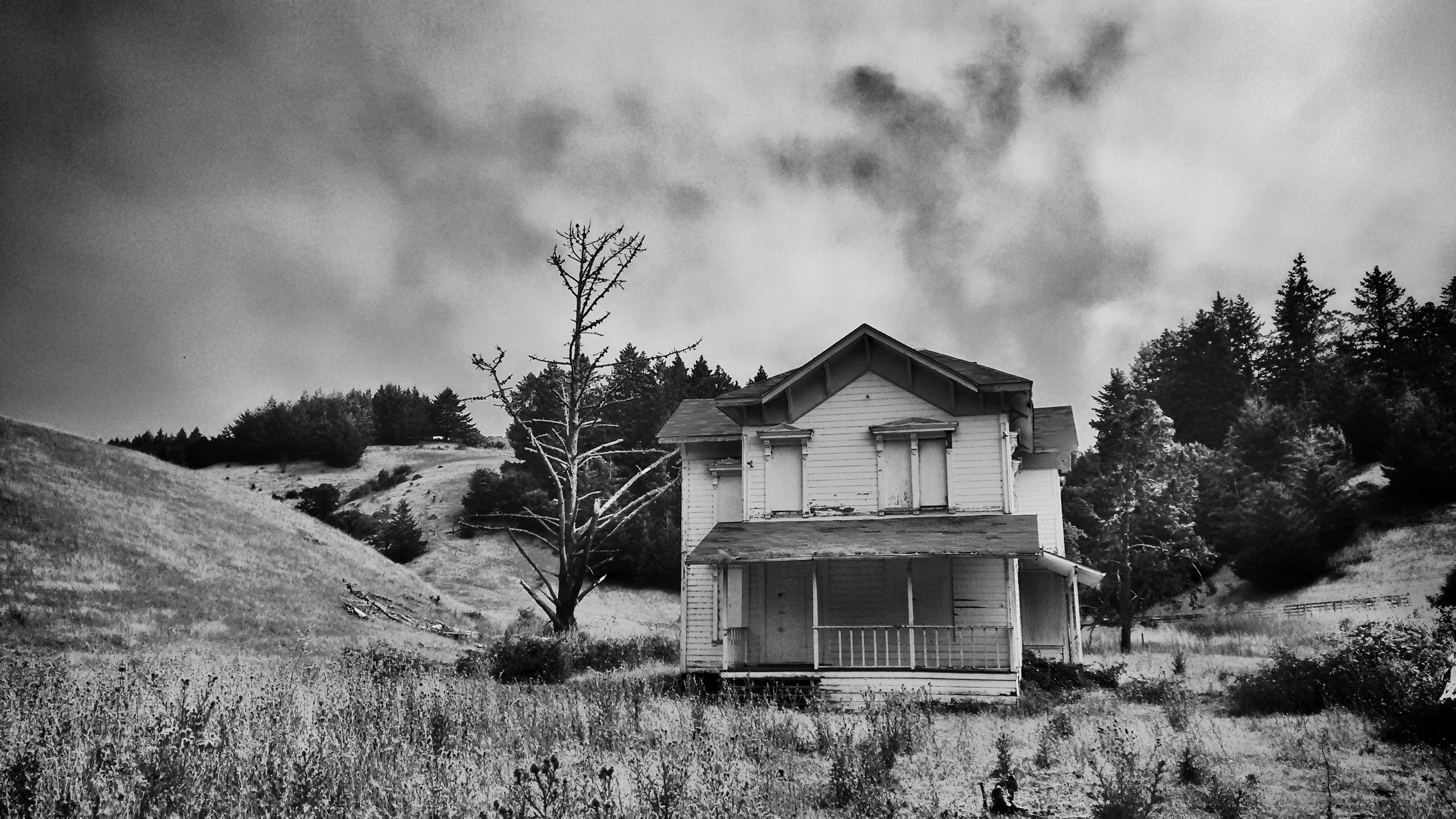 empty, highway, trees, cottage, building, environment, beauty in nature, grass, home, house, sky, plant, outdoors, built structure, photo, grayscale, residential district, HD Wallpaper