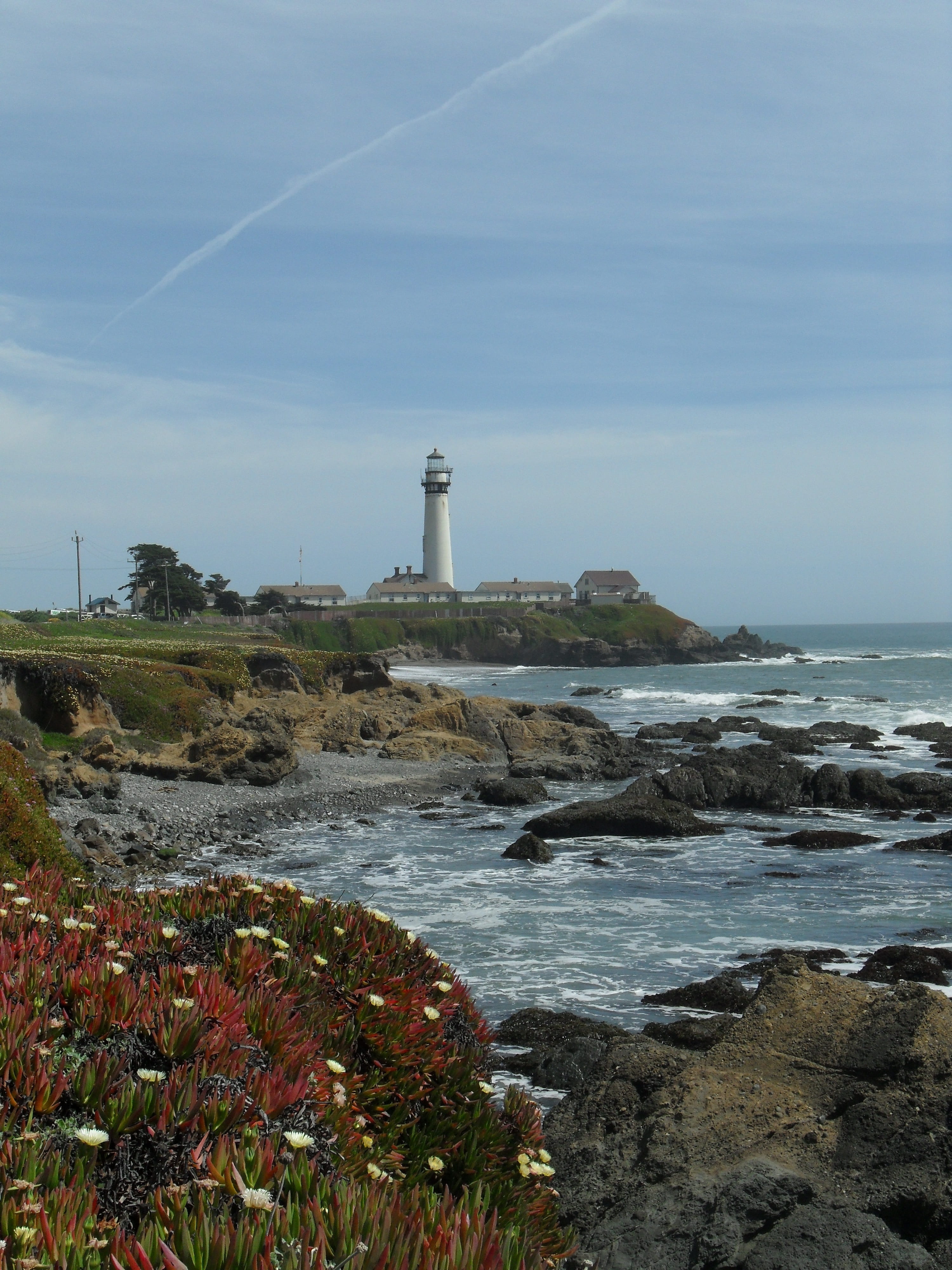 pacific, landscape, coastline, water, Highway 1, rock, direction, pigeon, built structure, sea, building exterior, sky, outdoors, rock - Object, flowers, Phone HD Wallpaper