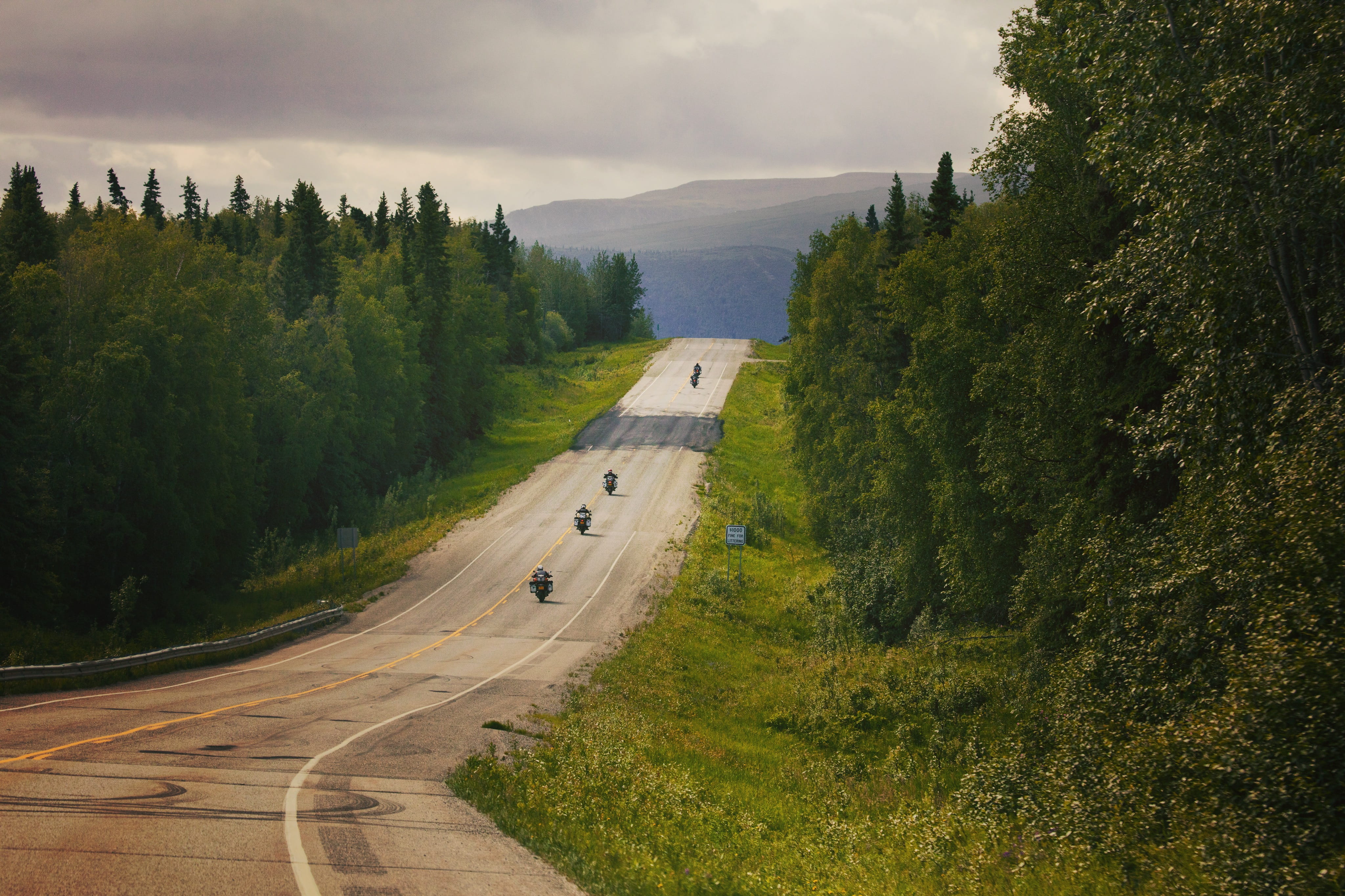 fir, sky, direction, tranquility, non-urban scene, highway, tranquil scene, asphalt, pine, tarmac, no people, spruce, road, plant, abies, forest, the way forward, HD Wallpaper