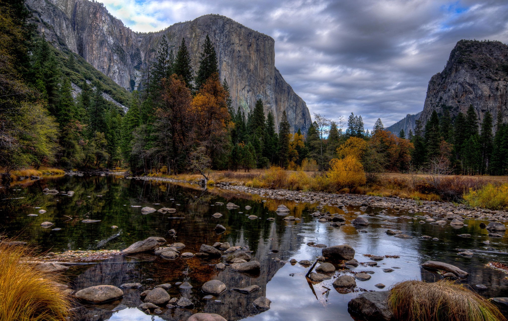 pine trees, 1080P, mountains, nature, river, landscape, HD Wallpaper
