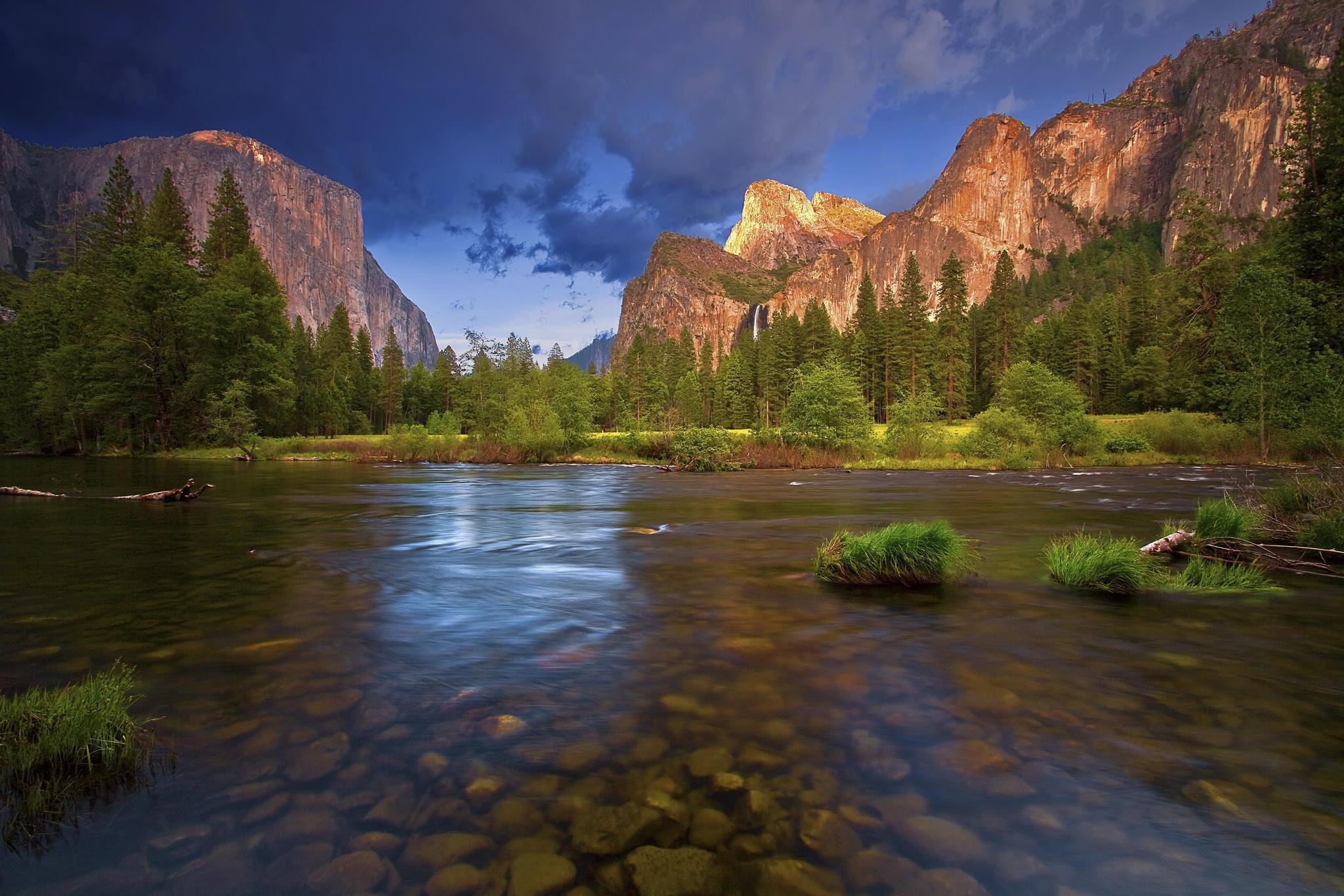 1080P, pine trees, landscape, nature, river, rocks, HD Wallpaper