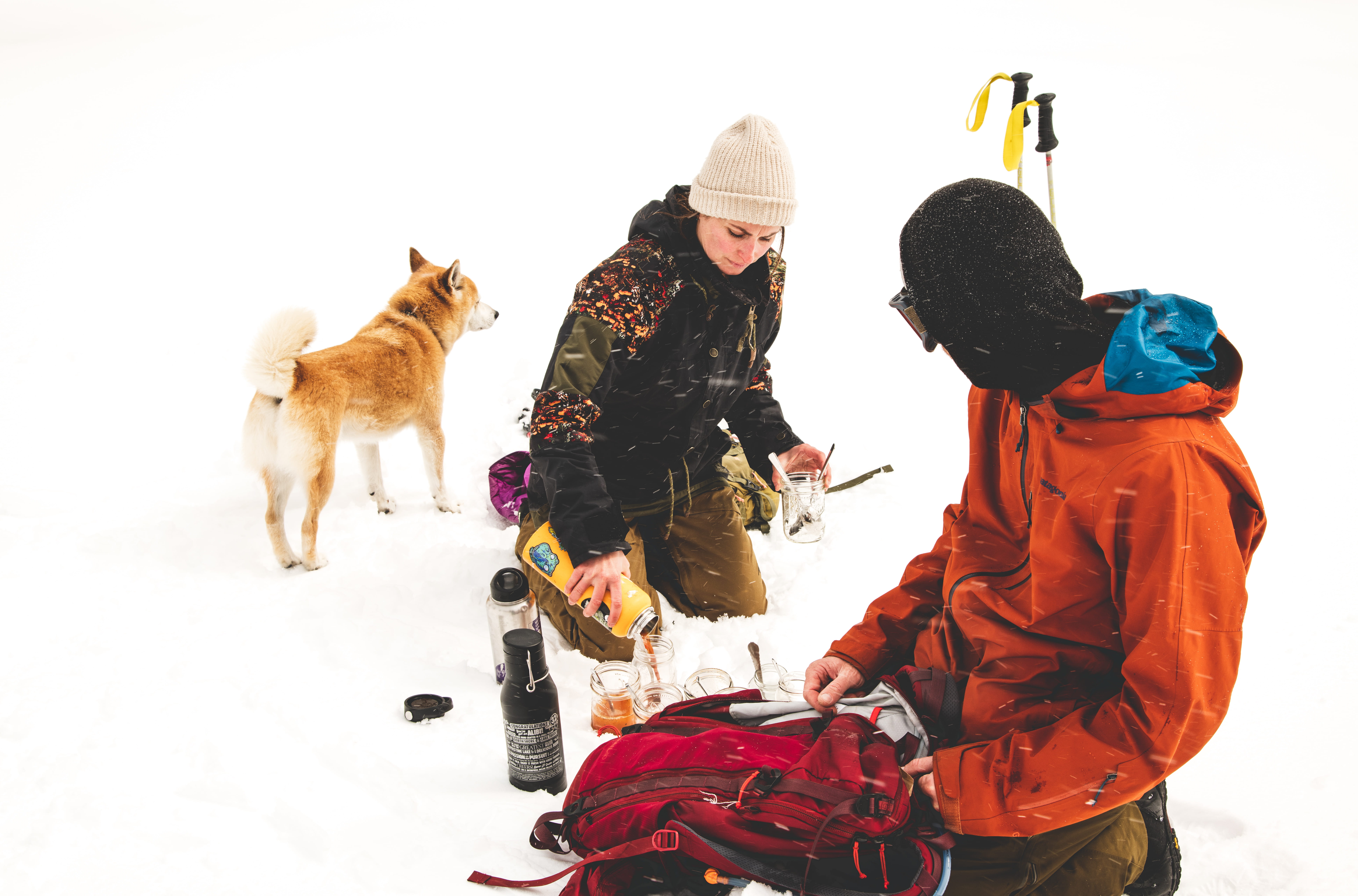 mammal, white background, food, bottle, drink, pets, mountains, lake tahoe, togetherness, adult, beverage, persons, human, canine, ground, snowy, united states, HD Wallpaper