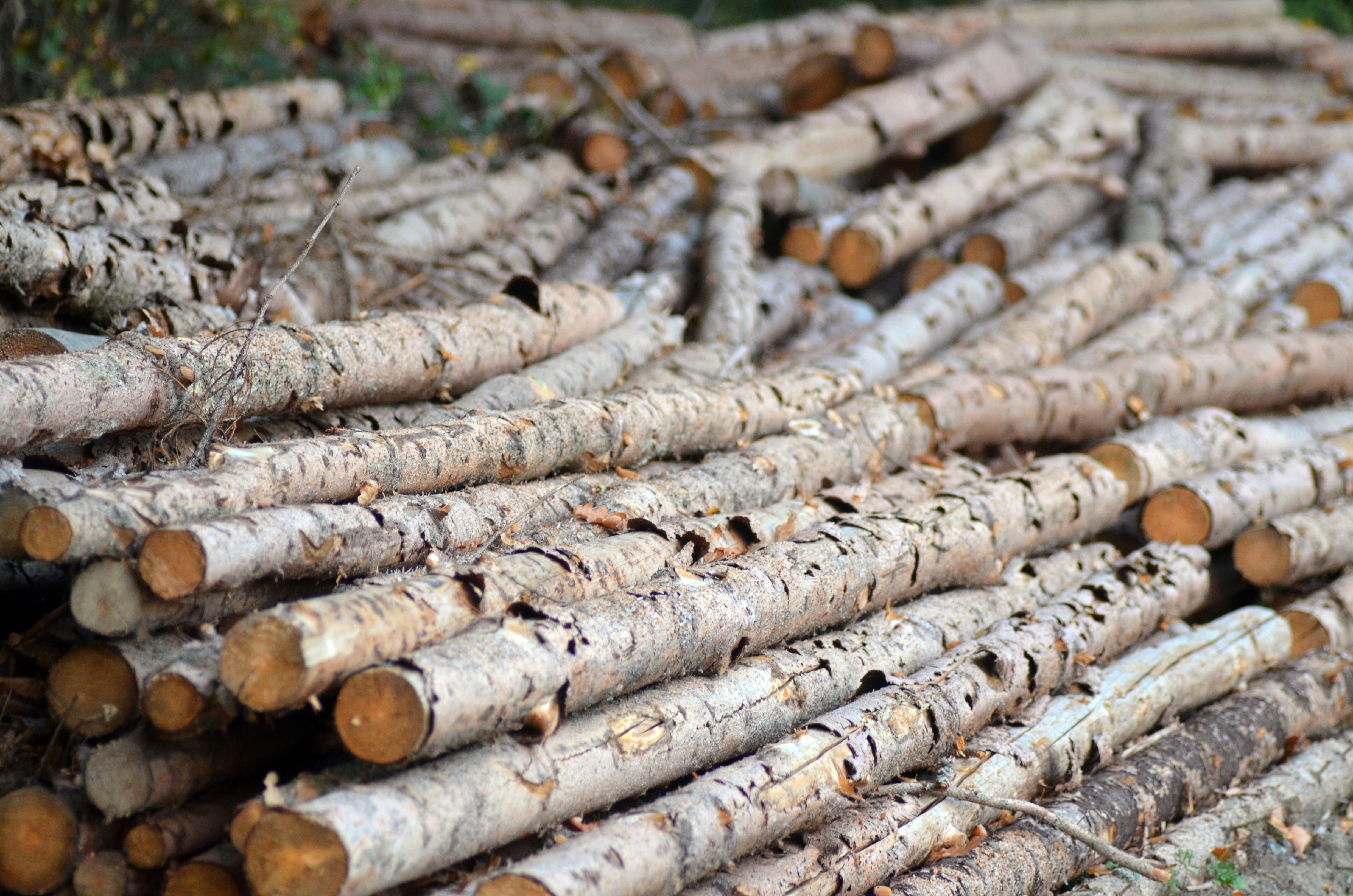 stack, roof tile, environment, dry, mountains, lumber industry, deforestation, large group of objects, abundance, field, moravia, view, tourism, ecology, HD Wallpaper