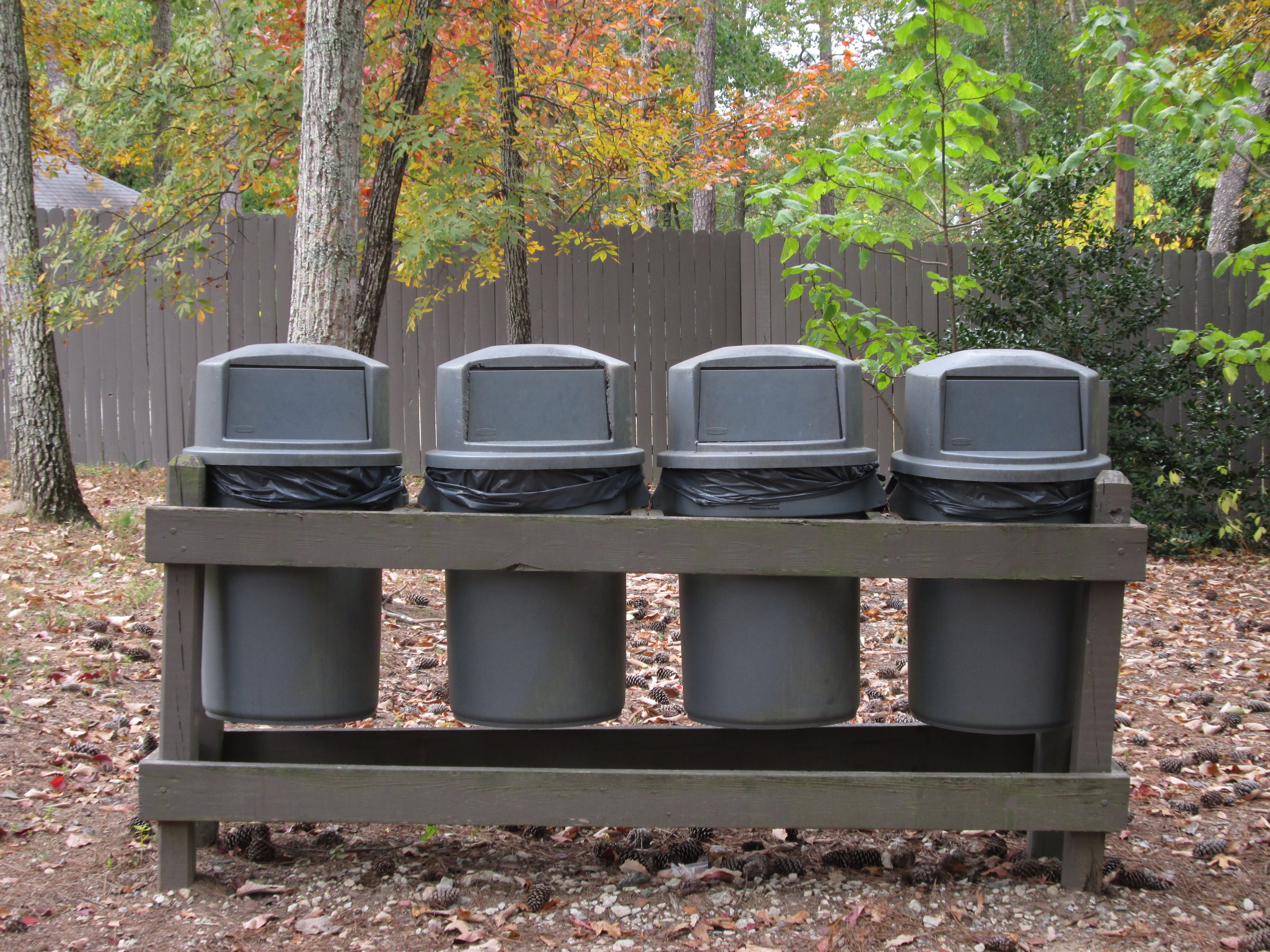 environment, rubbish, bins, recycle, leaf, land, park, container, recycling, pollution, plastic, trunk, tranquility, can, four, beauty in nature, change, HD Wallpaper
