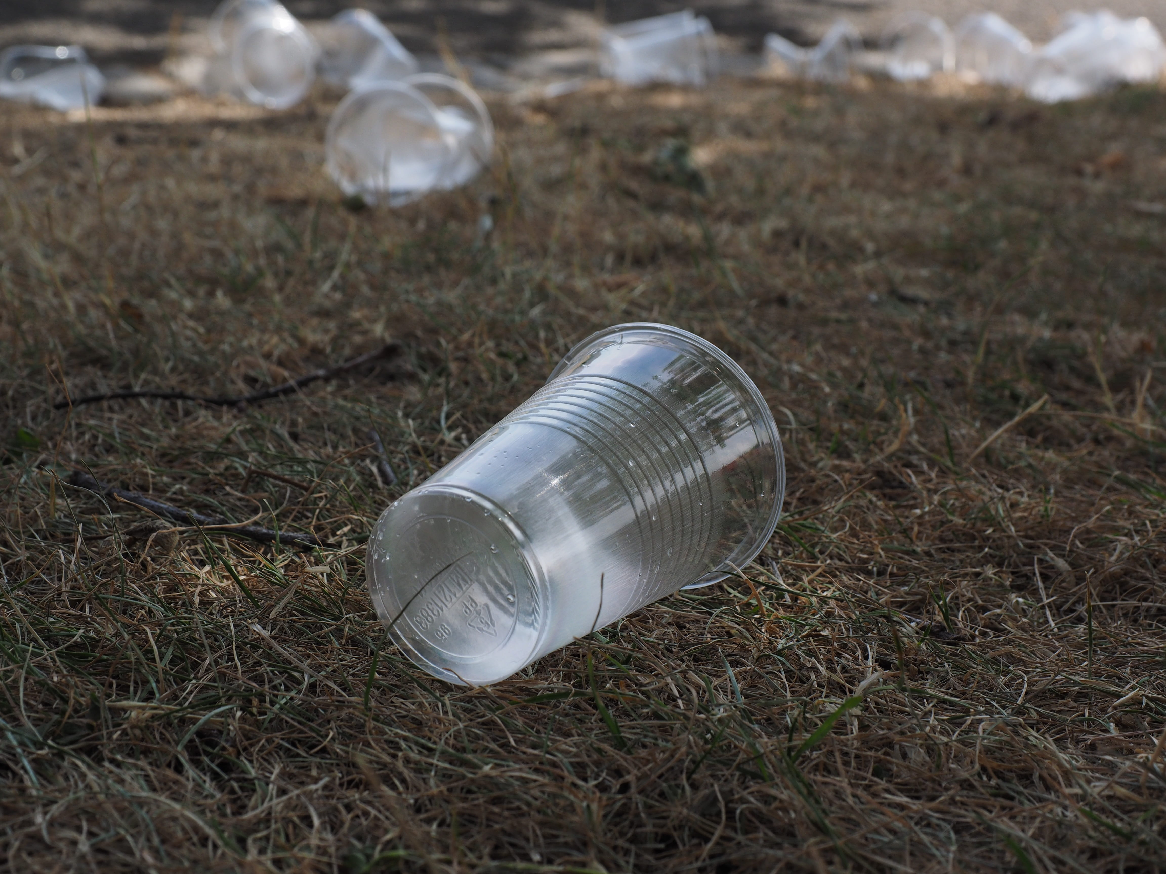 cup, photography, pollution, focus on foreground, Drink, no people, plastic, green, container, land, close, silver colored, nature, field, Plastic Cups, HD Wallpaper