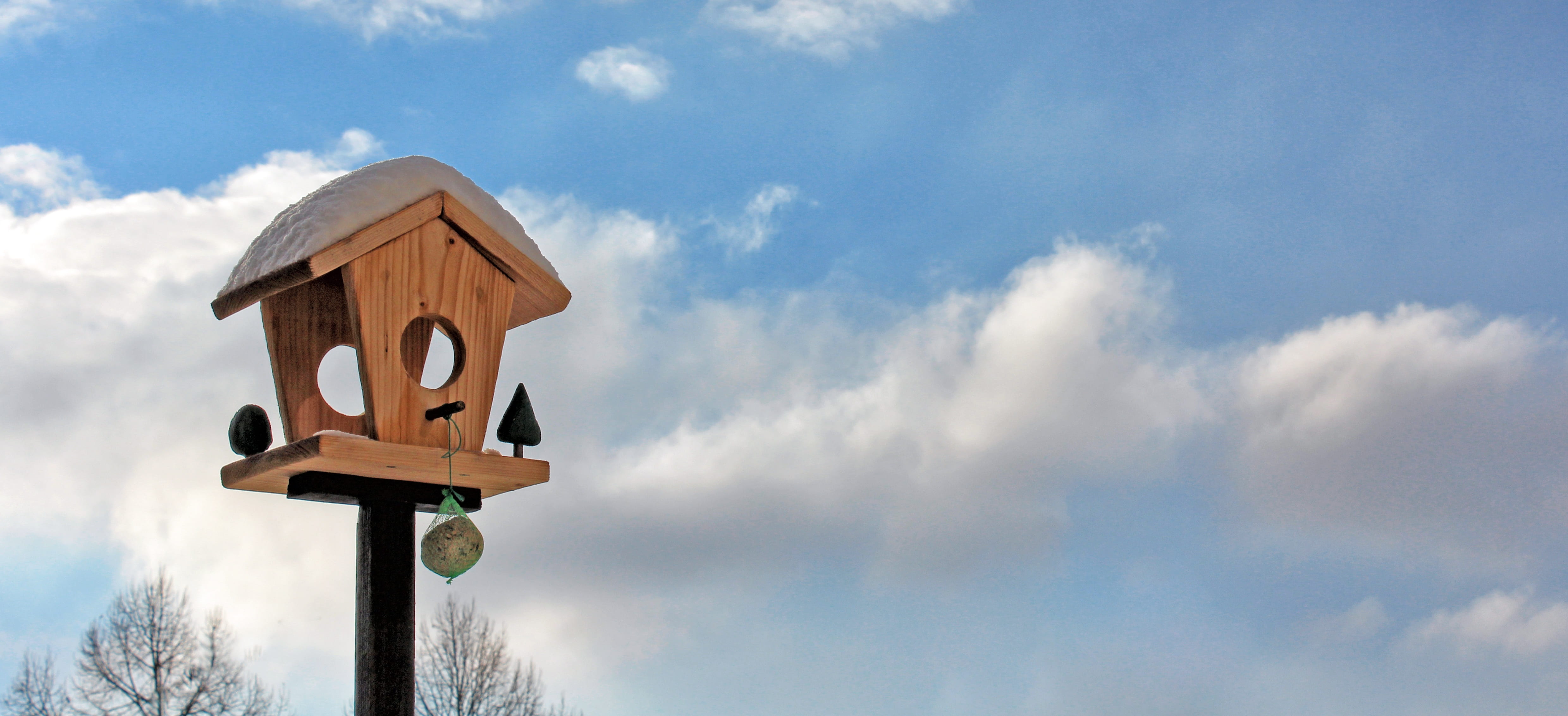road sign, sunlight, direction, panorama, bird count, symbol, wood, photo of titmouse, outdoors, diy, road, hibernate, aviary, sign, wood - material, no people, HD Wallpaper