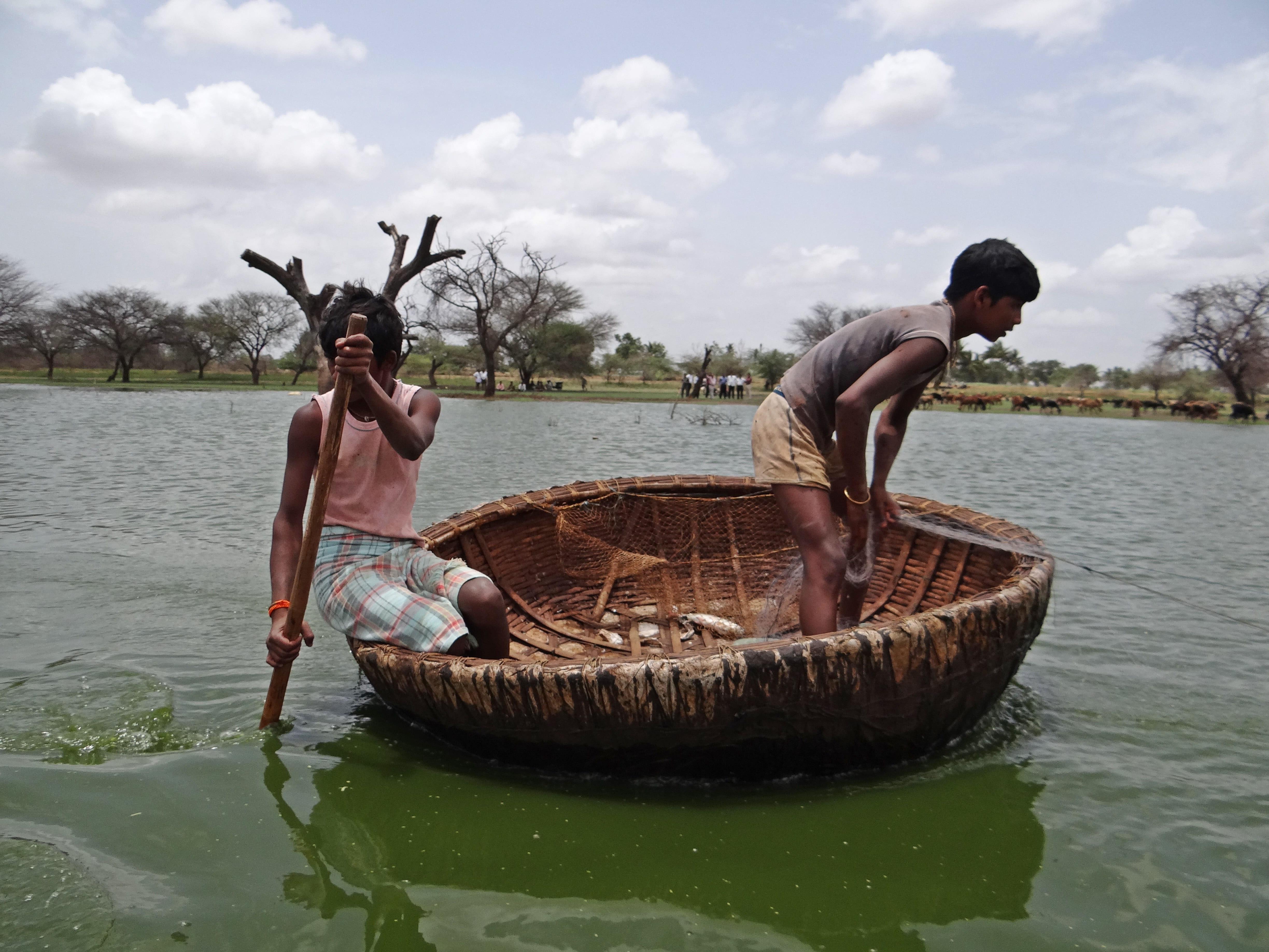 bird sanctuary, india, outdoors, front view, nautical vessel, day, refuge, lake, males, lifestyles, sailing, ankasamudra, shirtless, coracle, sky, 4K, HD Wallpaper