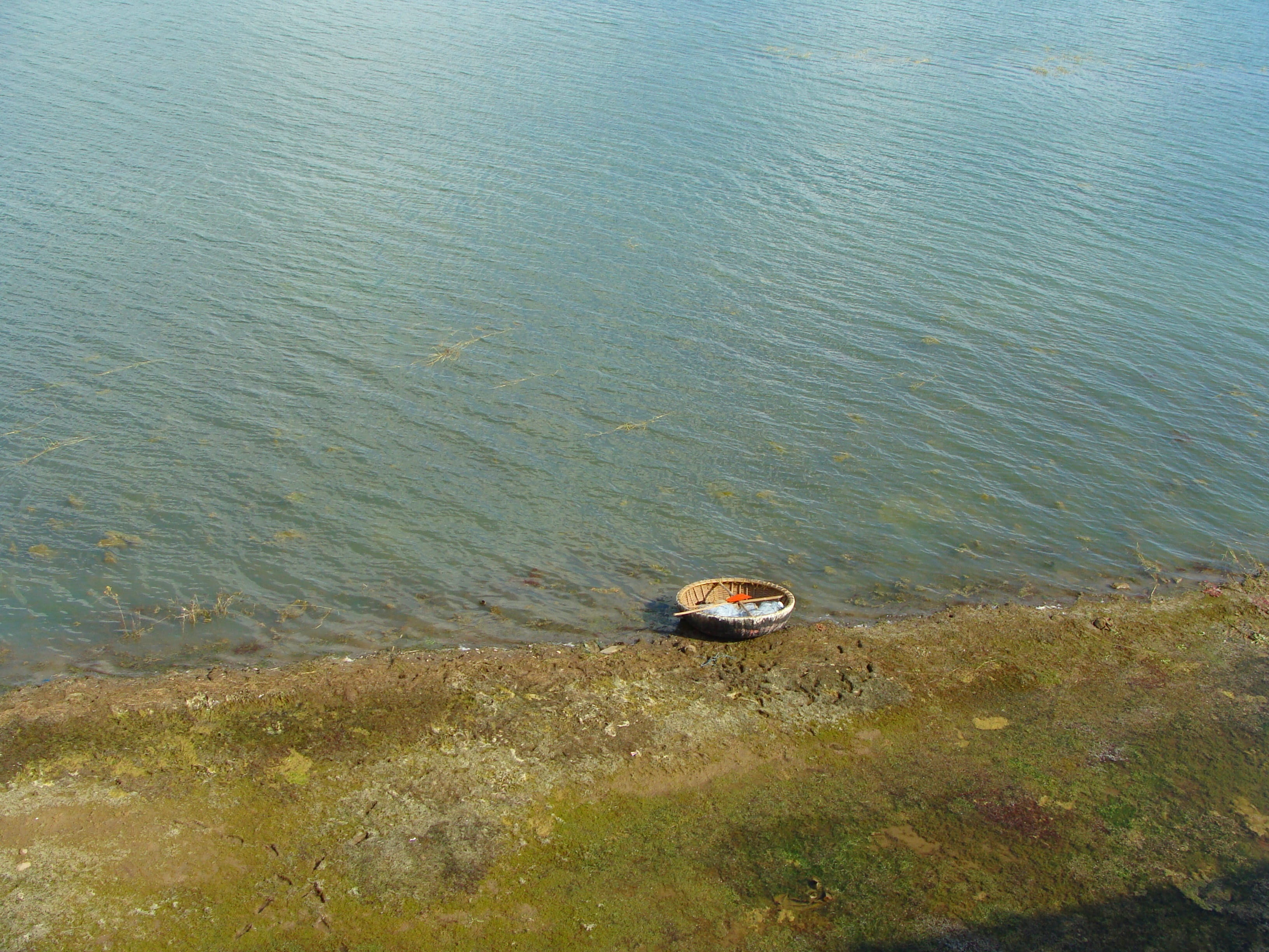 animal themes, india, nature, high angle view, scenics - nature, river, Reservoir, water, krishna, karnataka, backwaters, Coracle, Lake, animals in the wild, HD Wallpaper