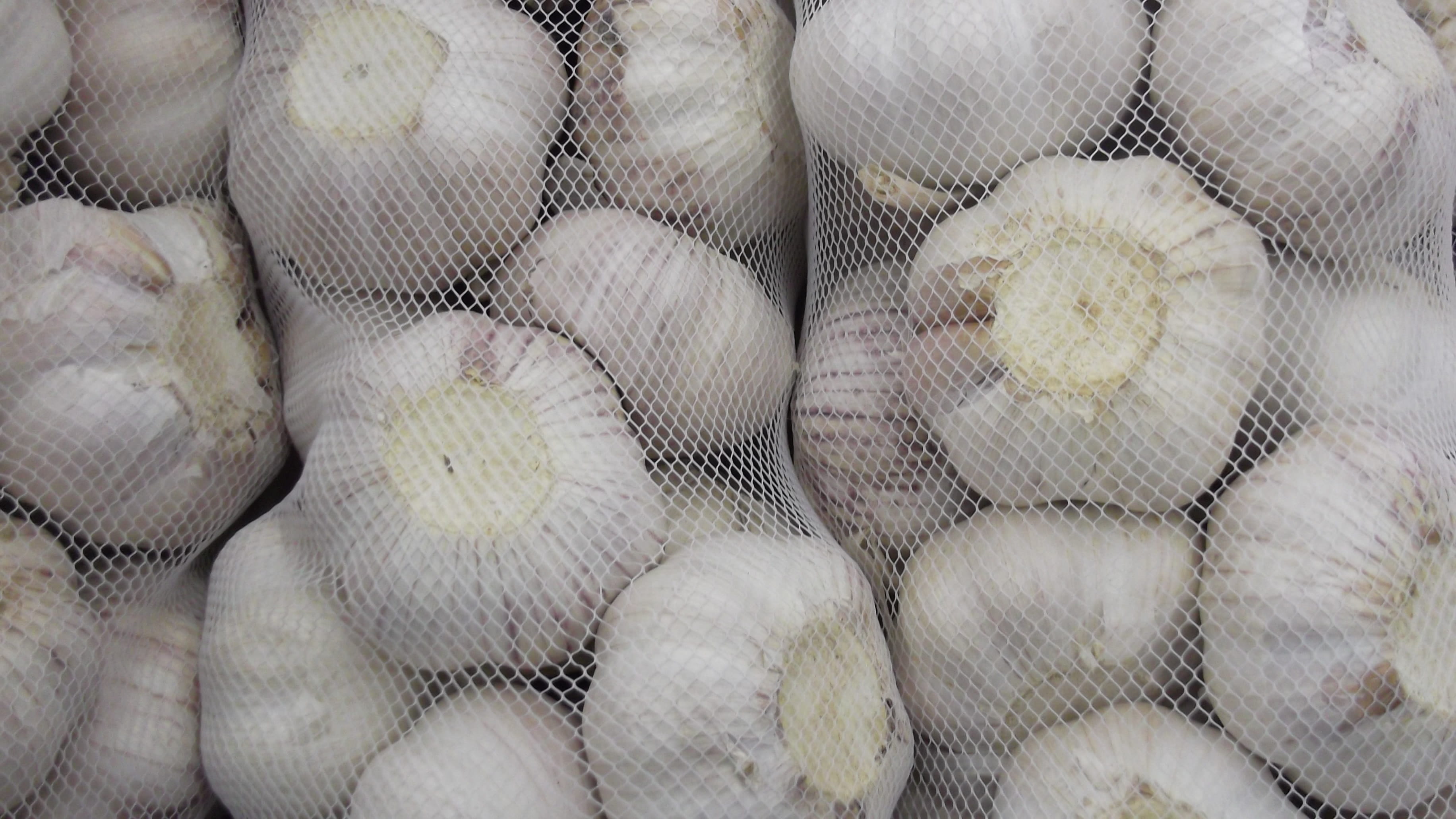 abundance, fishing industry, close-up, full frame, wellbeing, food and drink, wire, vegetable, 2K, netting, healthy eating, business, freshness, white color, HD Wallpaper