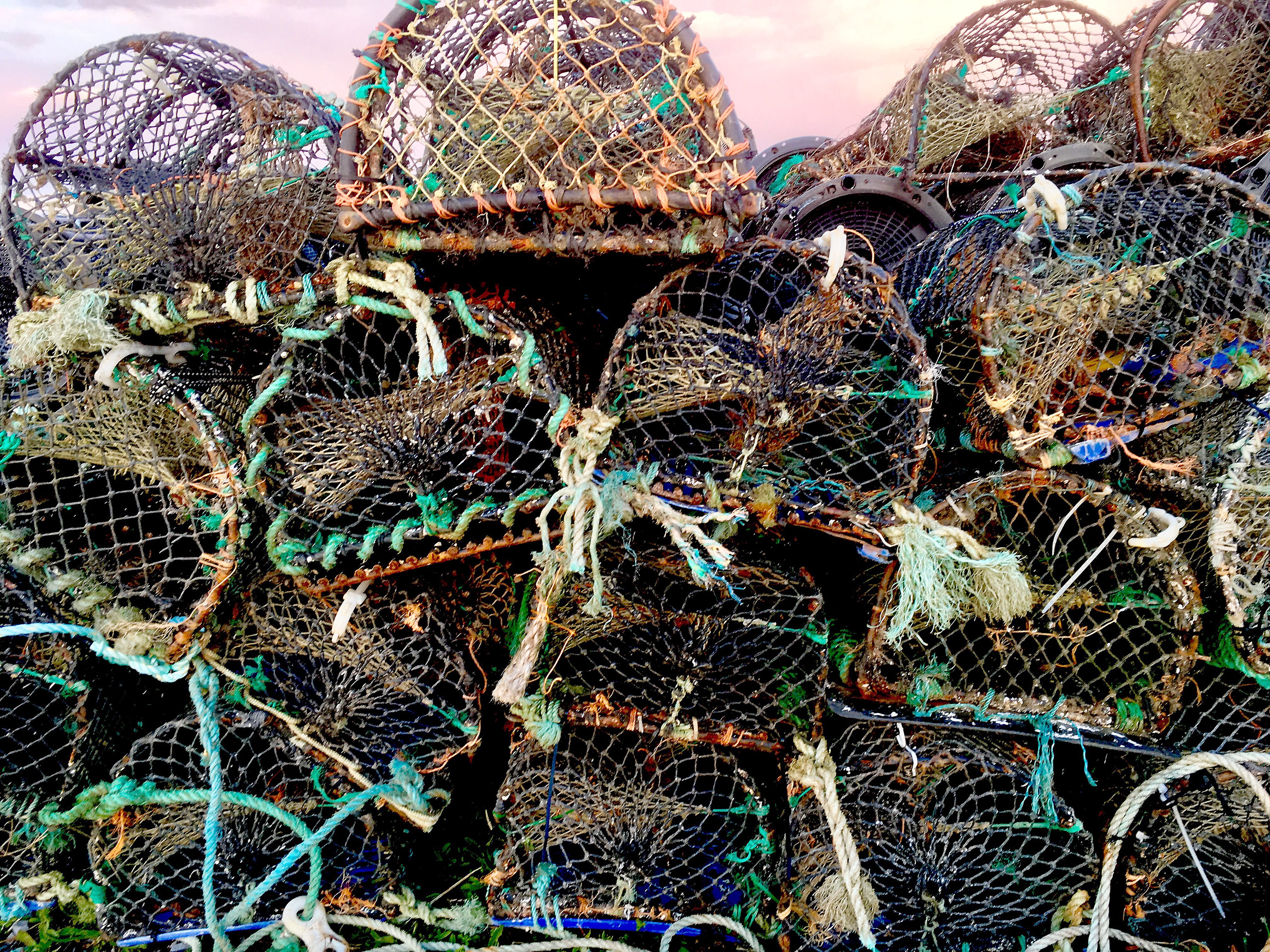 pot, crab, netting, rod, harbor, heap, fishing, backgrounds, fishing industry, industry, abundance, complexity, arrangement, no people, cage, trap, marine, HD Wallpaper