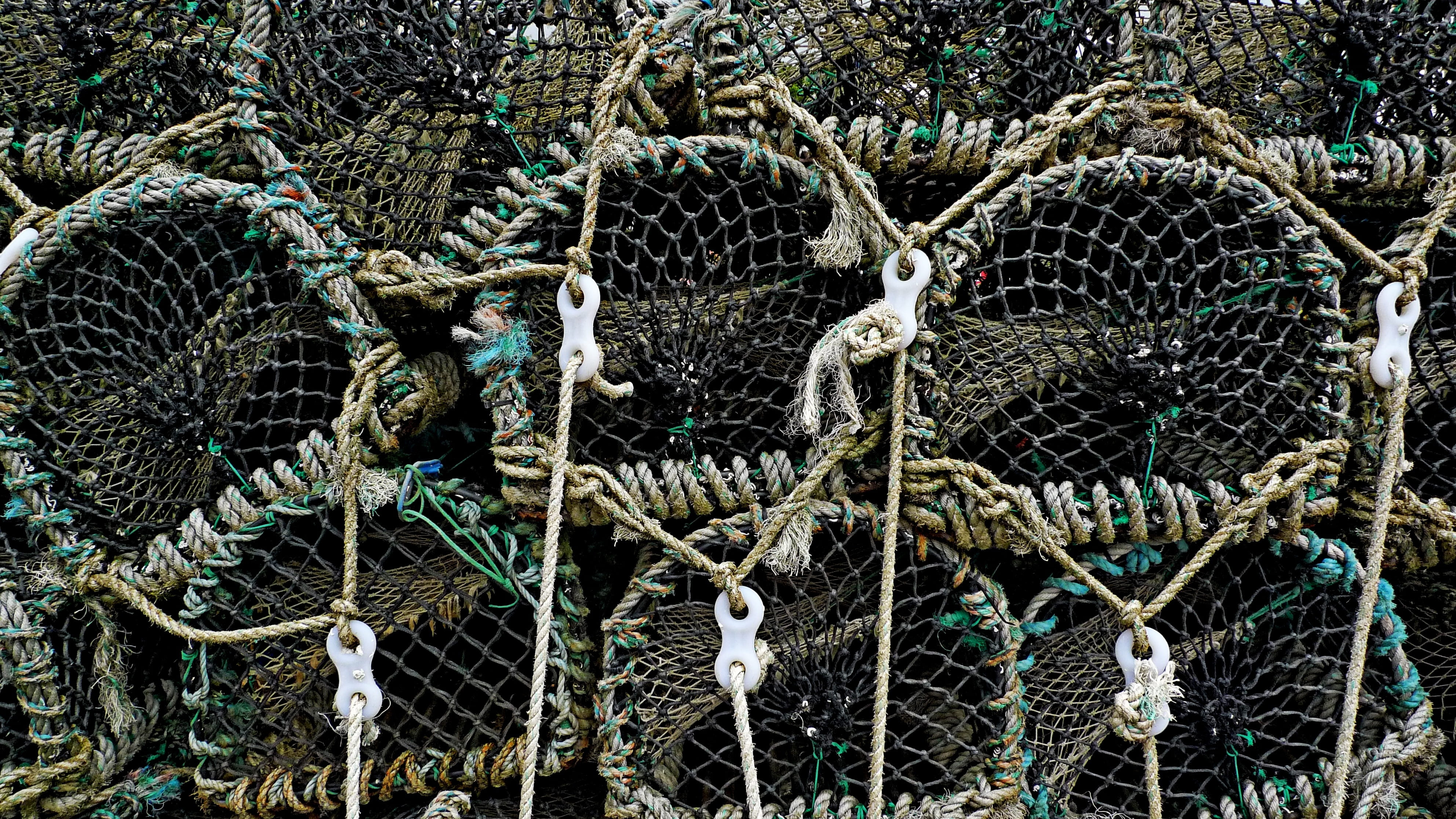 backgrounds, arrangement, metal, fishing industry, equipment, net, fish, nature, mesh, lashing, lashed, seafood, full frame, outdoors, day, lobster, stack, HD Wallpaper