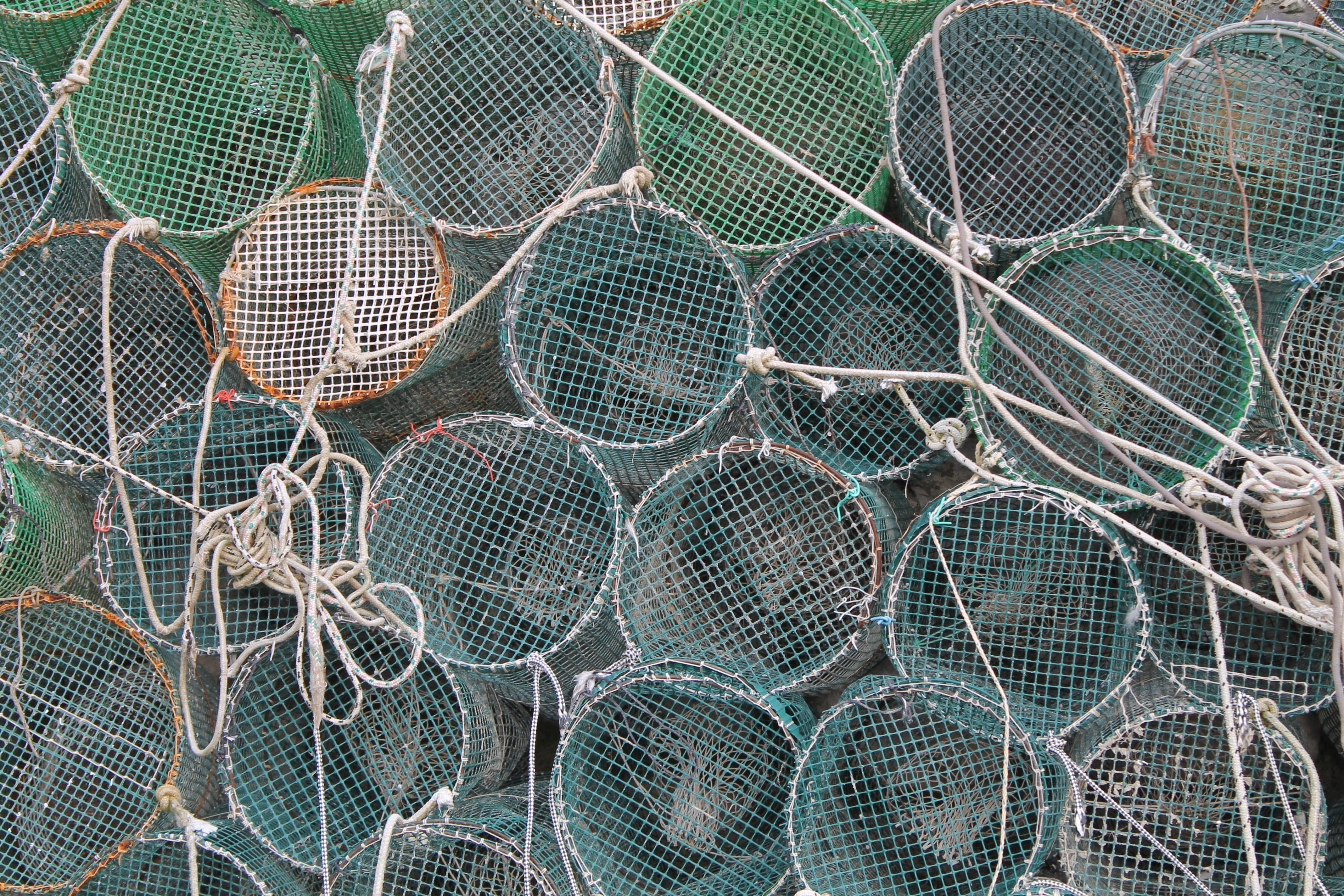 full frame, mediterranean, order, fishing net, wire mesh, backgrounds, abundance, no people, fishing industry, metal, wire, rope, pattern, food, networks, HD Wallpaper