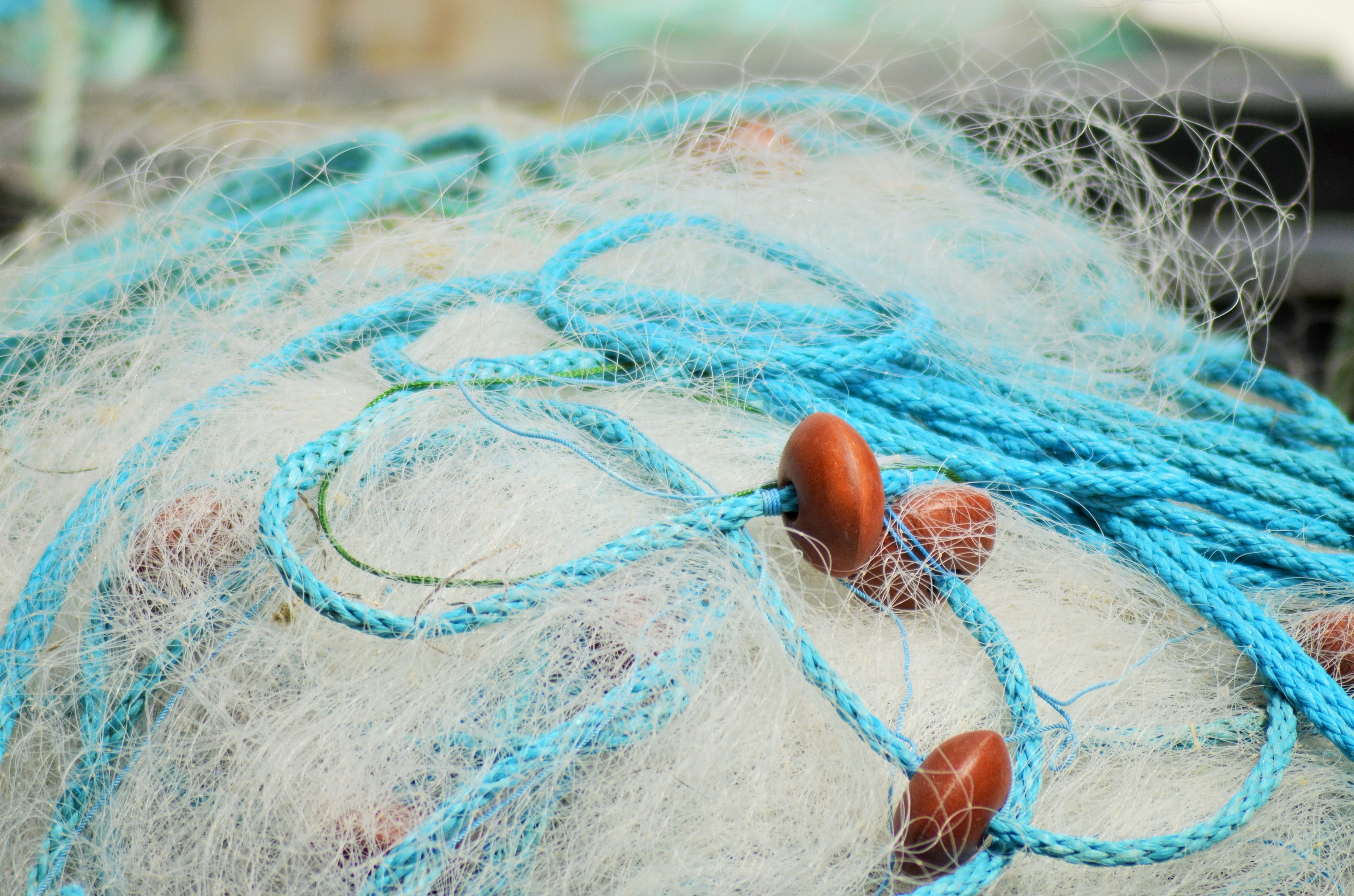 fish, mesh, bowls, close-up, material, outdoors, pattern, colors, fisherman boat, navigation, fishing, commercial fishing net, fishing equipment, boat, HD Wallpaper