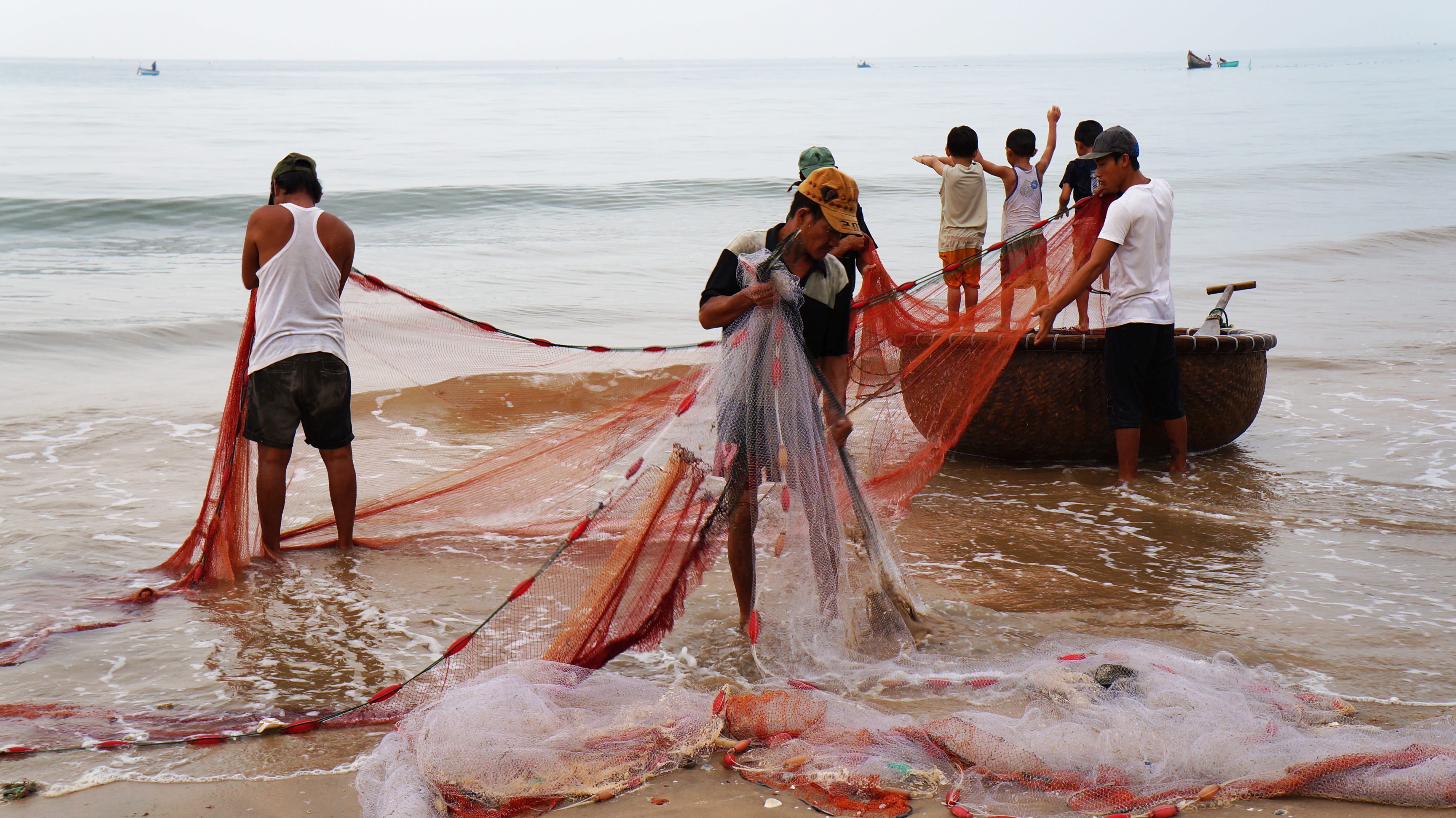 women, land, outdoors, nautical vessel, transportation, clothing, adult, group of people, rear view, day, fisherman, vietnam, life, fishing net, sea, beach, HD Wallpaper