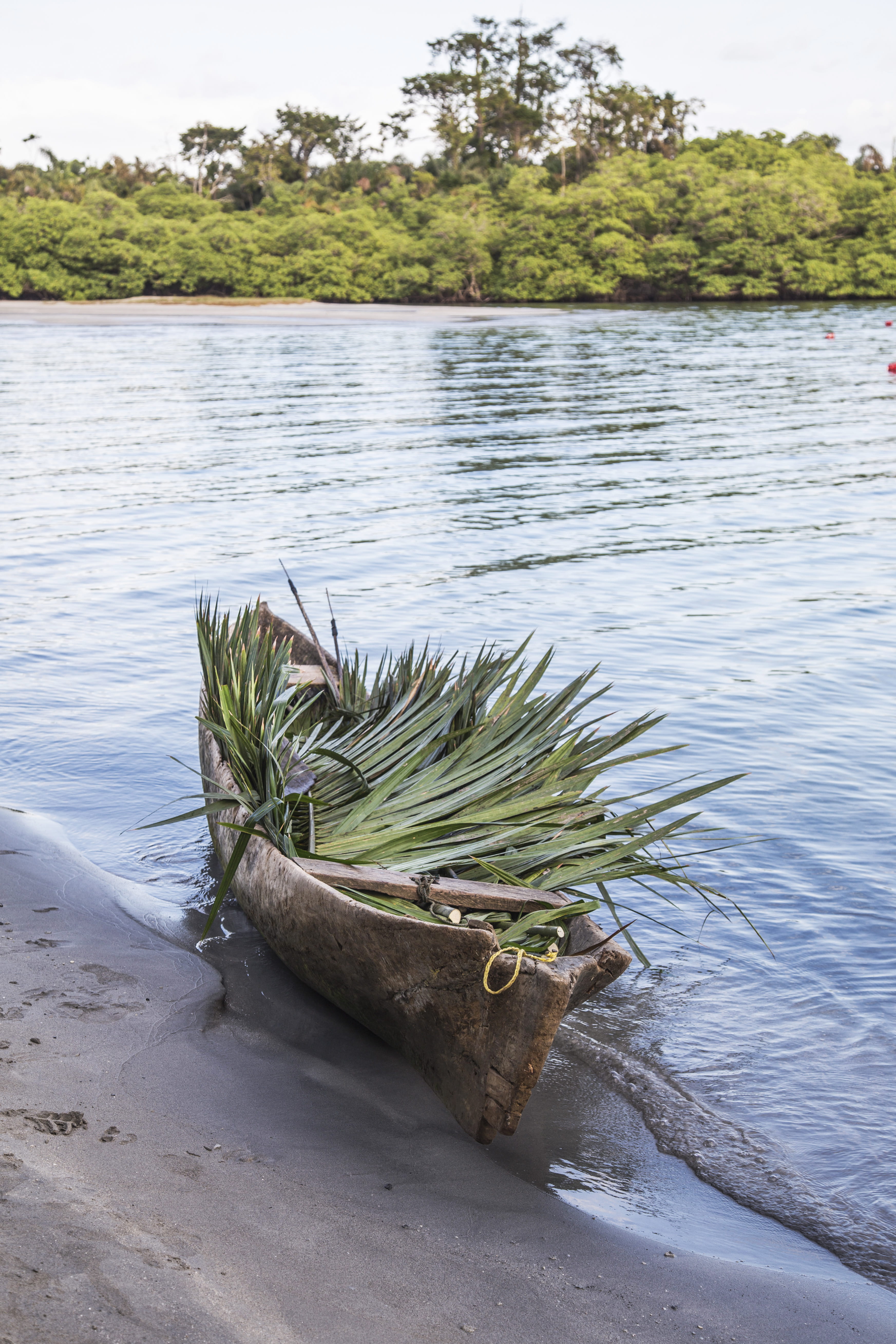 no people, primitive, nature, starfish beach, shore, plant, ocean, sky, tranquil scene, scenics - nature, water, green color, tranquility, day, sea, palm, Phone HD Wallpaper