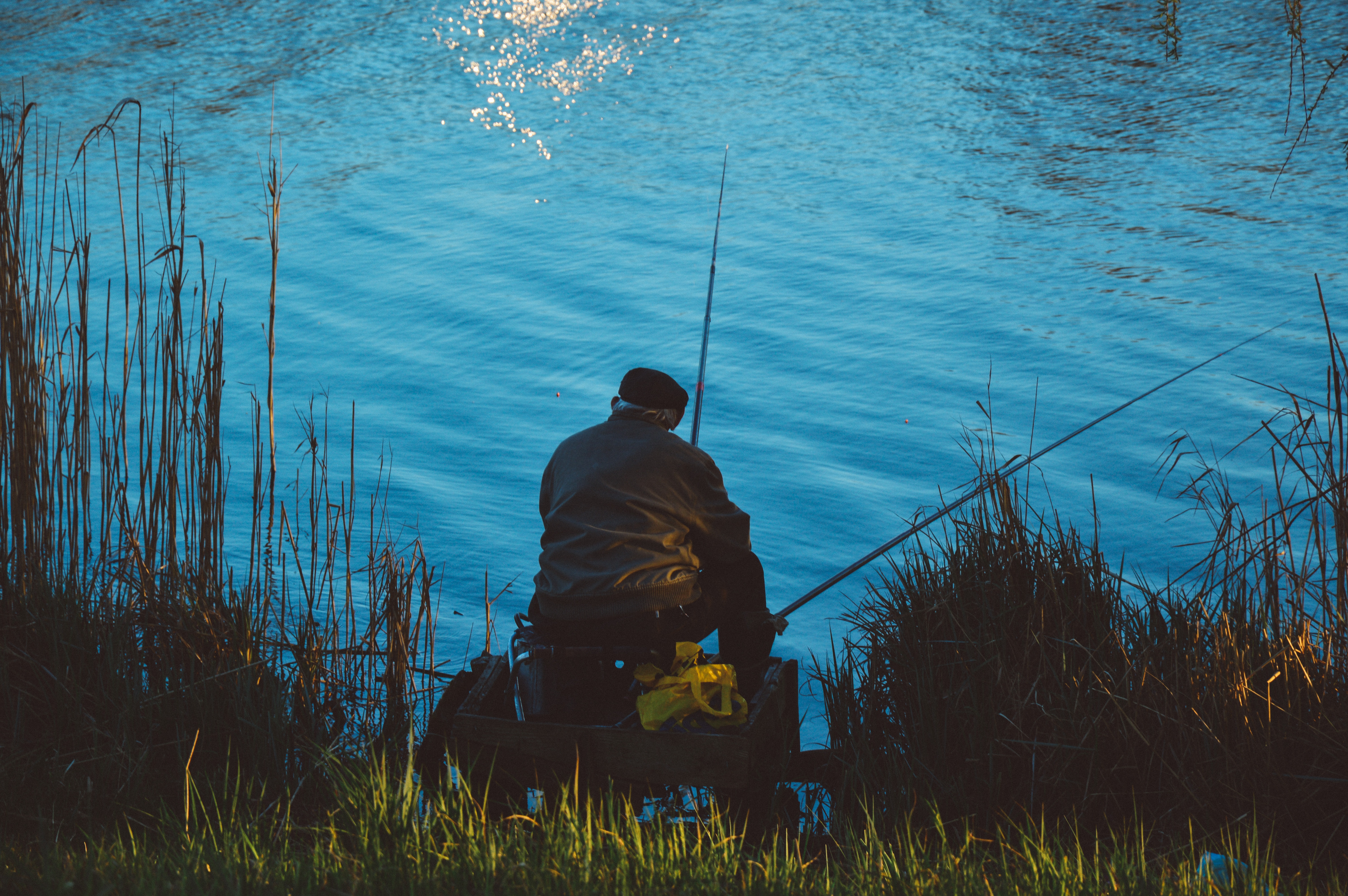 rear view, plant, water, real people, recreation, day, one person, grass, leisure, fishing, land, hobby, outdoors, relaxation, near, casting, lifestyles, HD Wallpaper