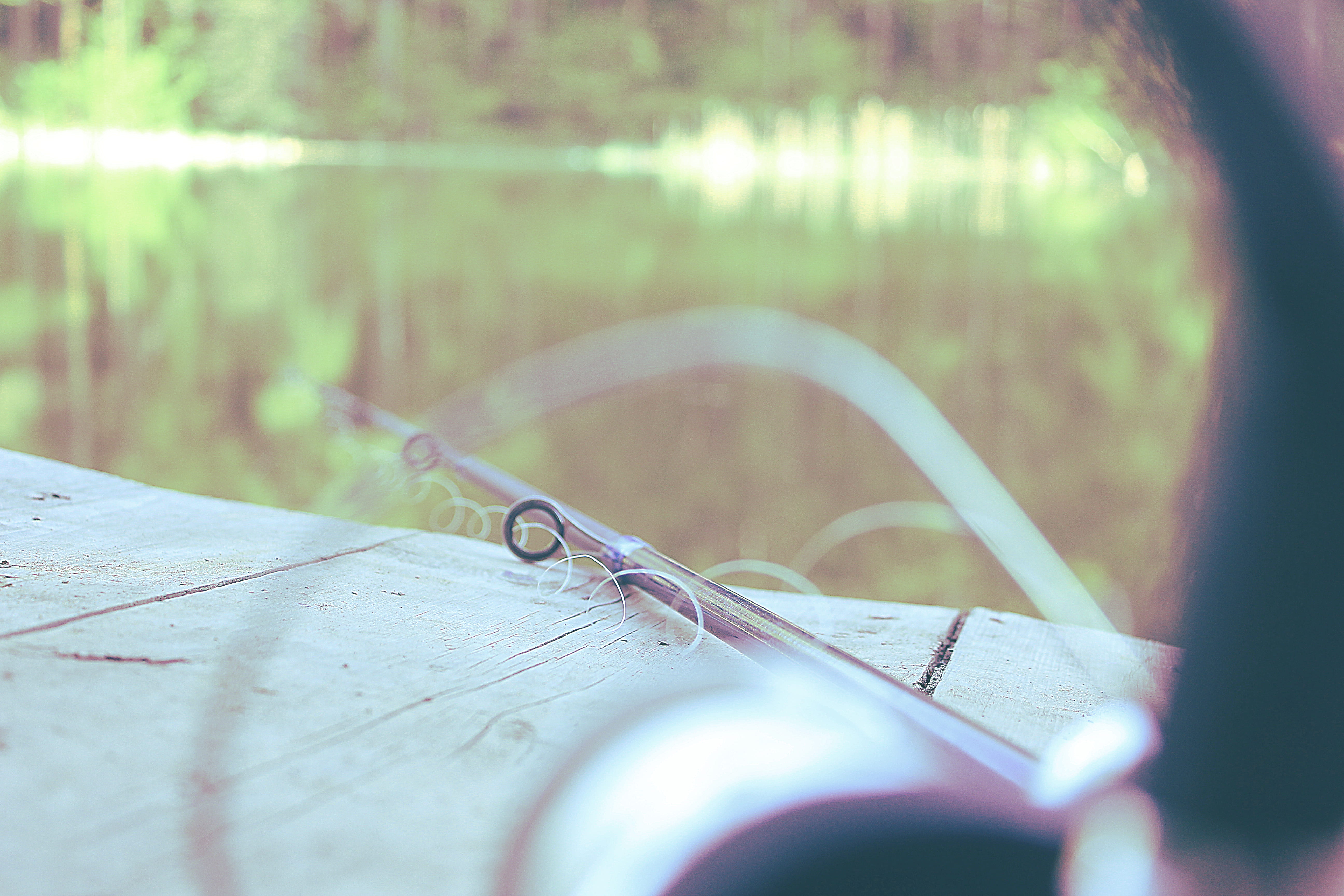 beside, photography, close-up, one animal, activity, fishing, close, leisure, hobby, reflection, line, sport, perspective, pier, jetty, 5K, outdoors, day, HD Wallpaper