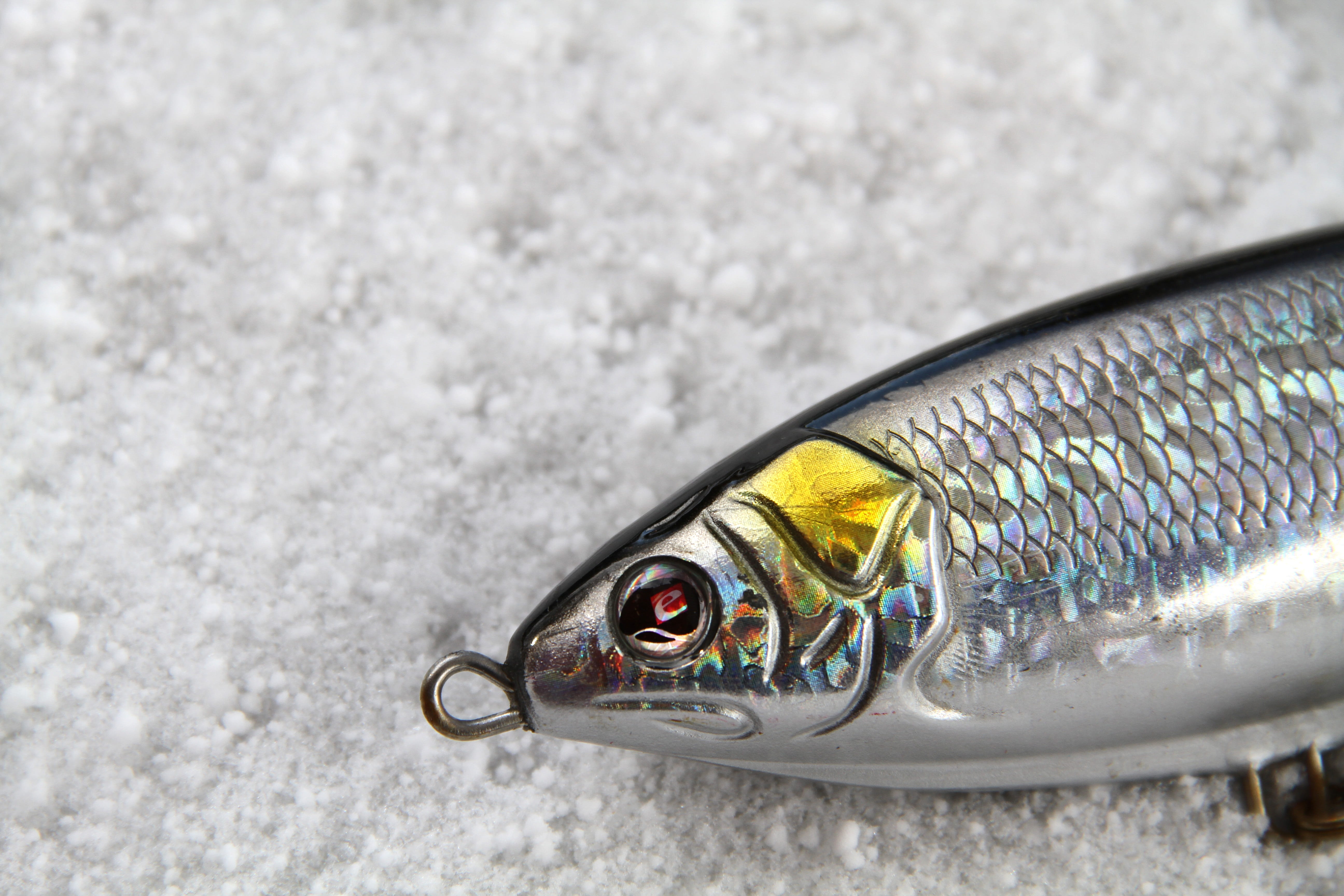 freshness, eye, raw food, food and drink, finland, close-up, snow, lure, fishing hook, sebile, seafood, no people, fishing, fishing industry, catch of fish, HD Wallpaper