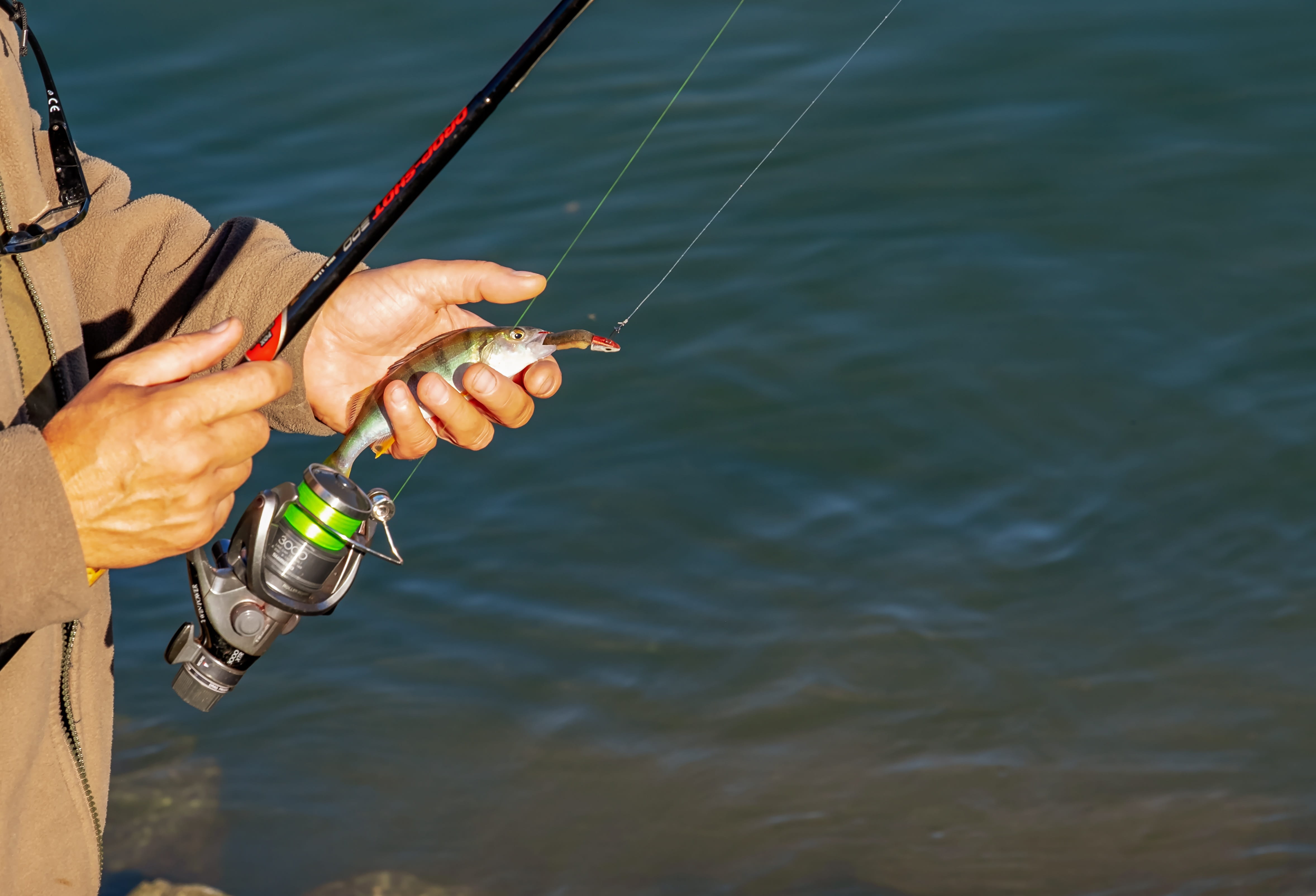 fishing, person, river, 4K, fish, body part, men, leisure, fishhook, one person, caught, nature, waterfront, holding, sea, prey, human body part, leisure activity, HD Wallpaper