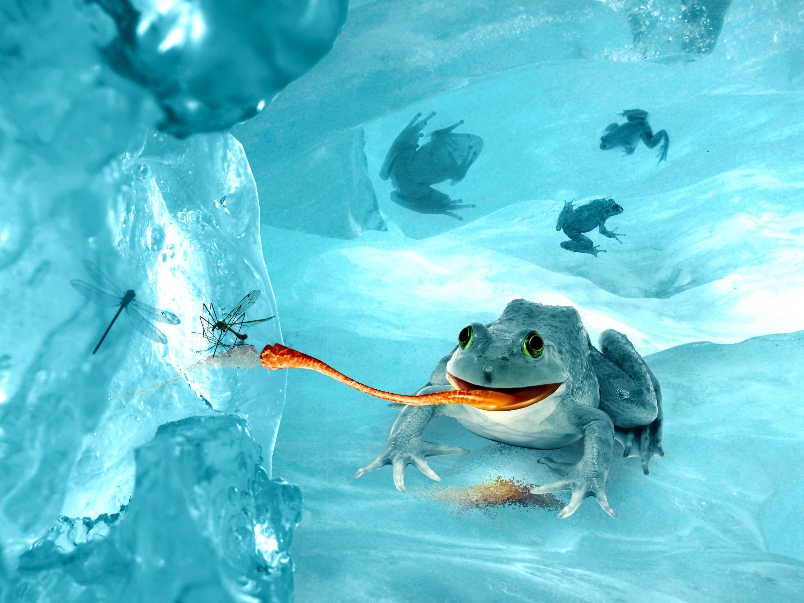 swimming, animal, animals in the wild, animal wildlife, black, tank, no people, animal themes, one animal, digital art, fish, white, ice, marine, animals in captivity, HD Wallpaper