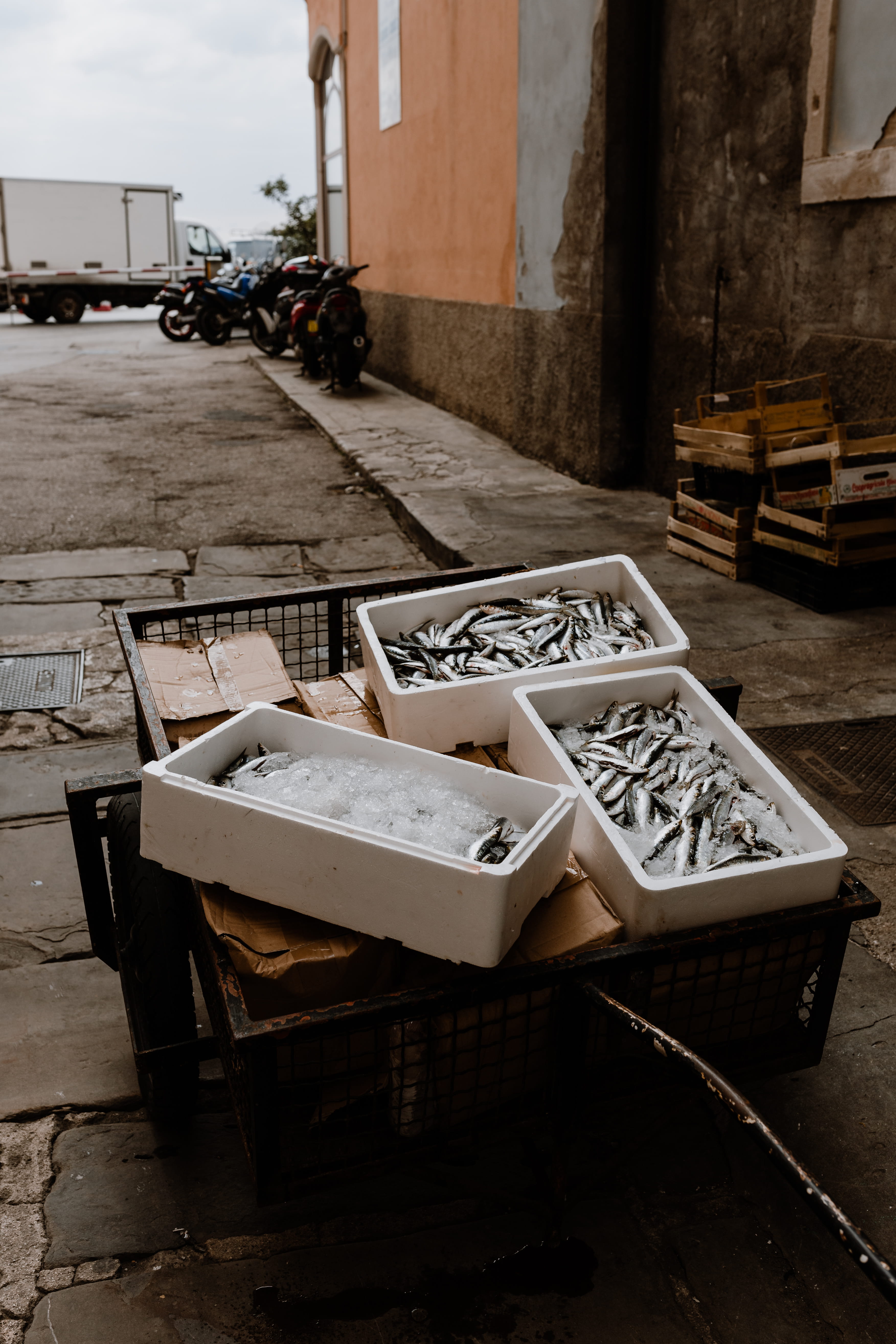 harbor, city, building, catch, land vehicle, nature, built structure, containers, fresh, transportation, box, day, 5K, fishing, building exterior, box - container, Phone HD Wallpaper