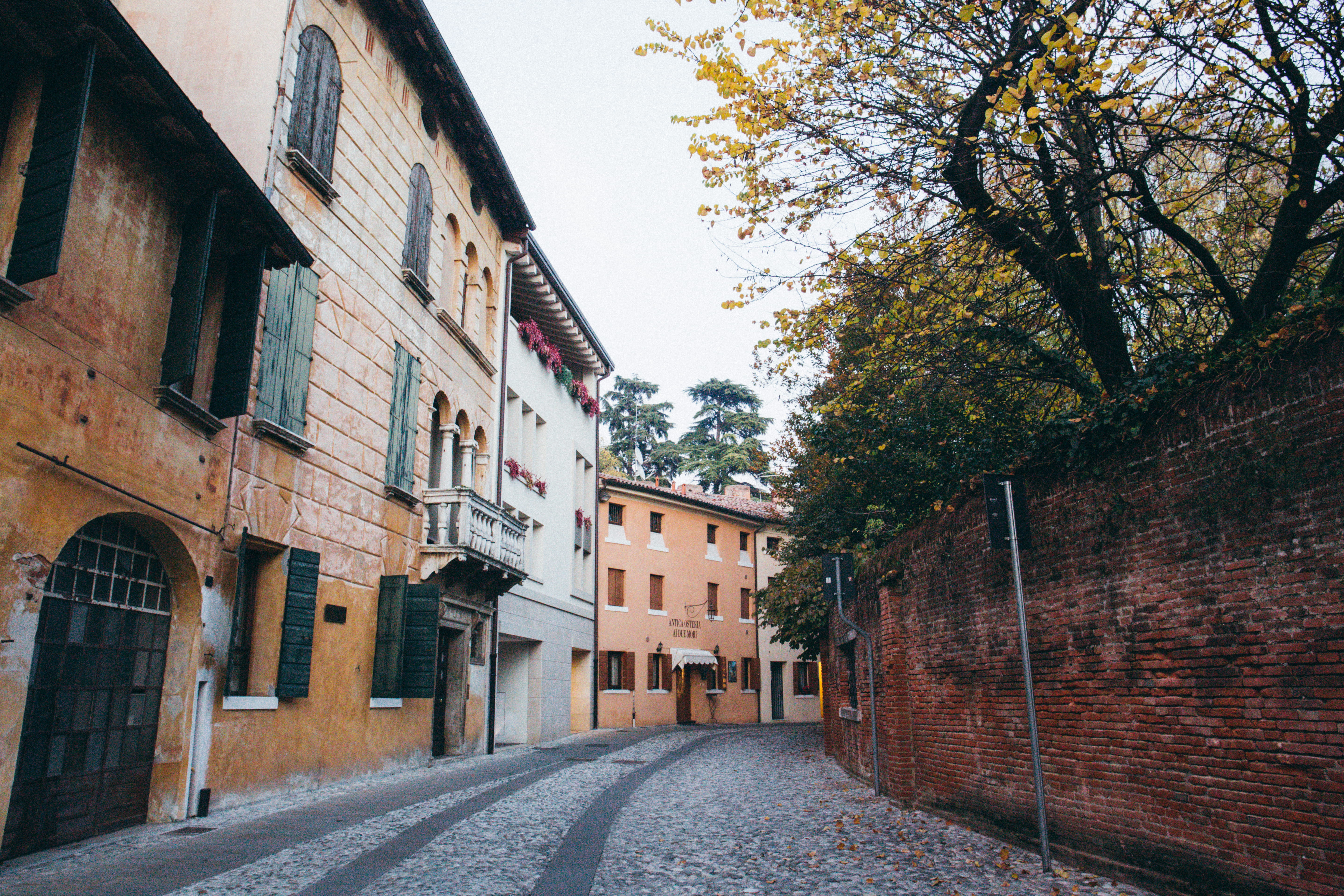 clear sky, outdoors, city, italy, residential district, old buildings, evening, building exterior, architecture, direction, fall, buildings, day, plant, HD Wallpaper