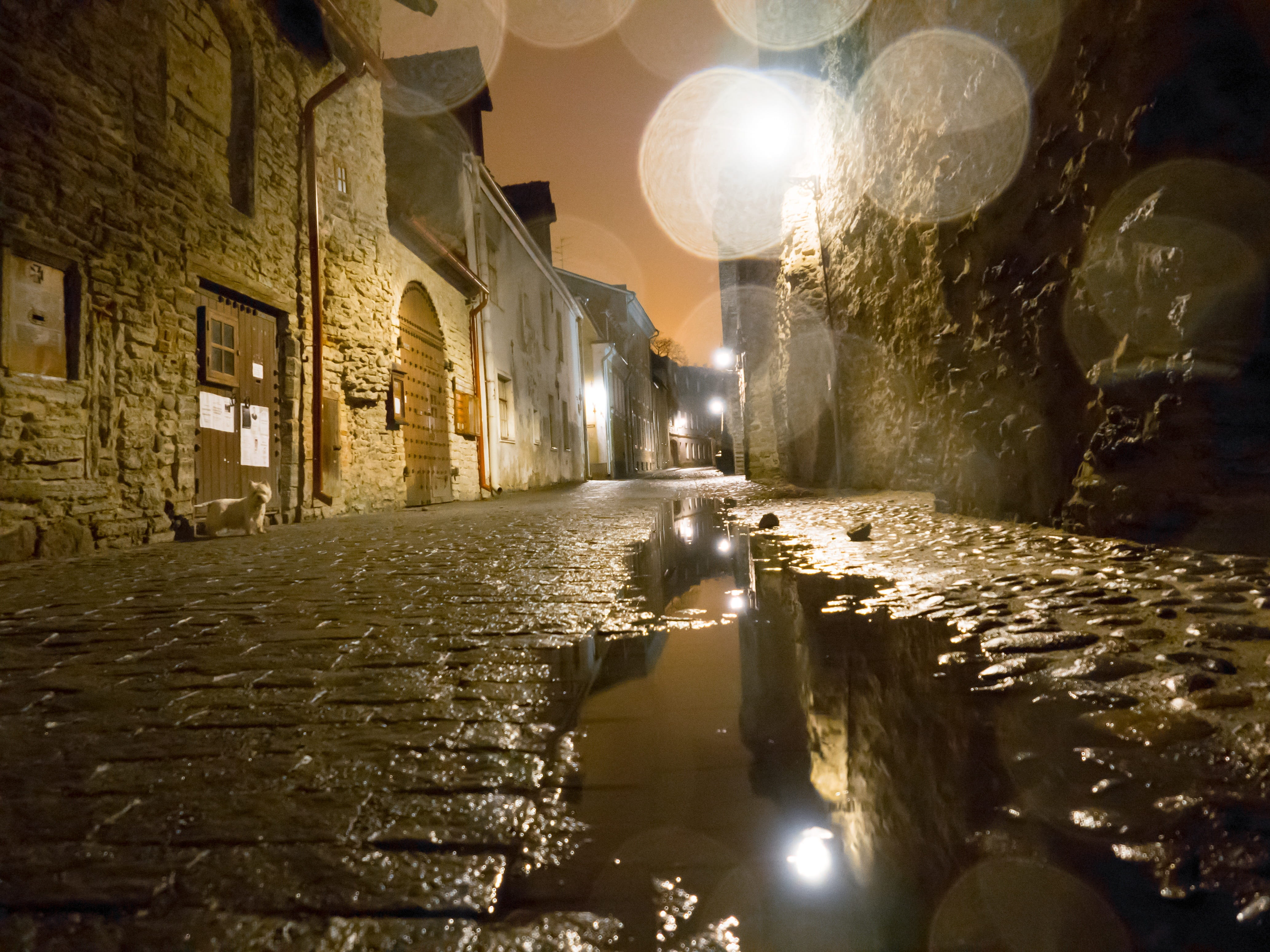 direction, no people, outdoors, street, canal, tallinn, the way forward, 4K, architecture, estonia, lighting equipment, rain, old, lens flare, illuminated, HD Wallpaper