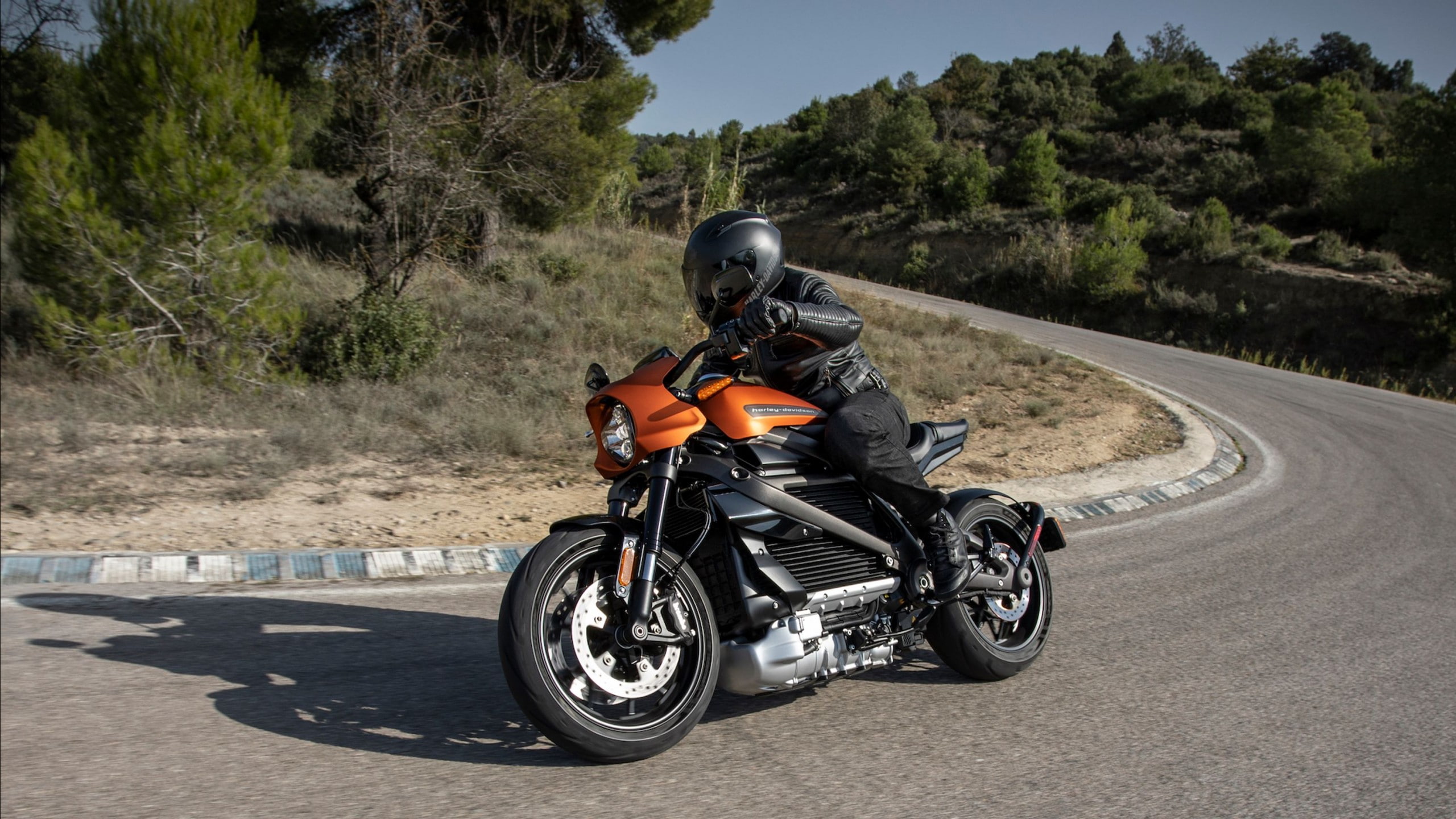 2K, electric bikes, Harley-Davison LiveWire, 2019 Bikes, HD Wallpaper