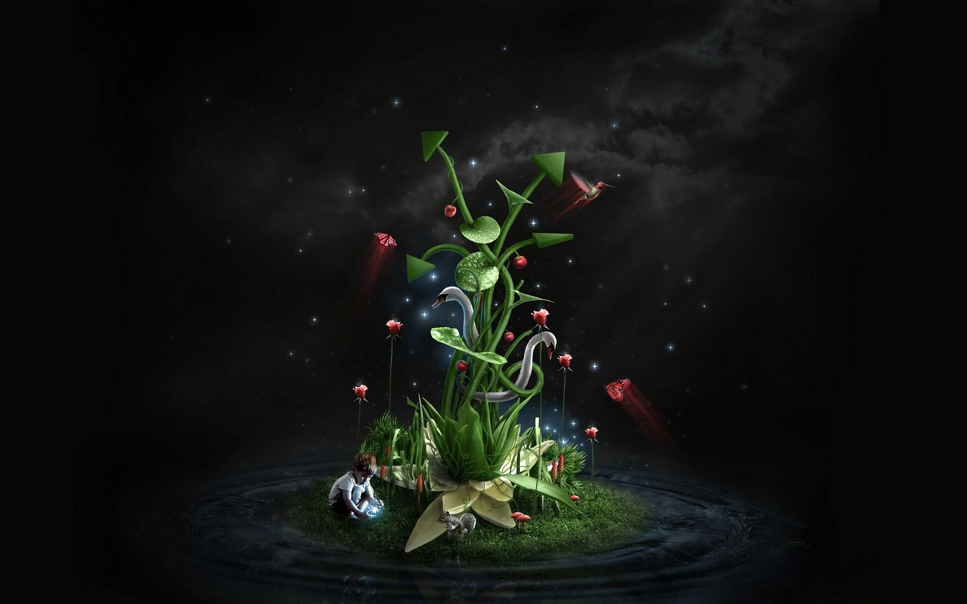 mushrooms, butterflies, 3d and abstract, fantasy, humming bird, 1080P, life, stars, plants, duck, HD Wallpaper