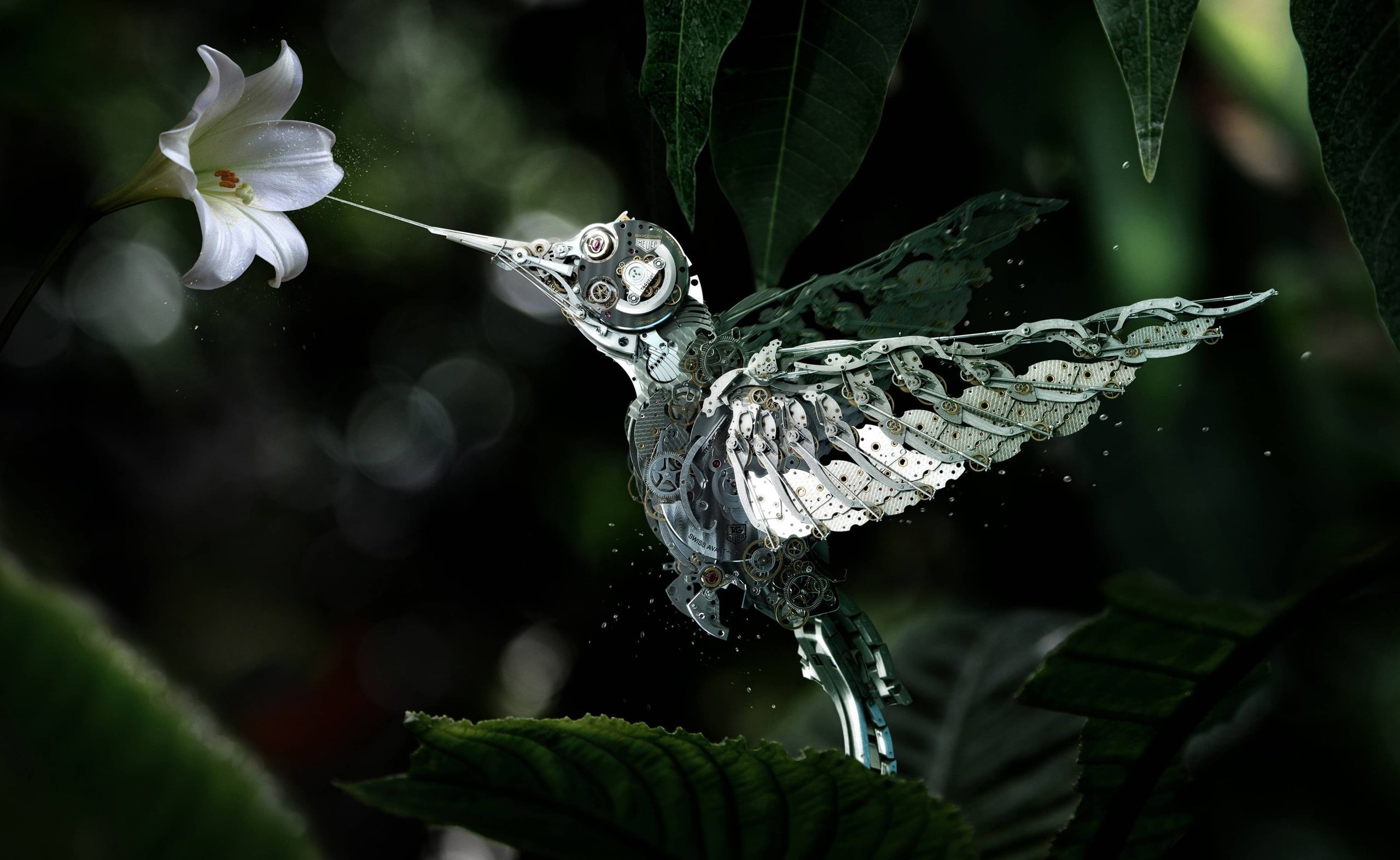 animals in the wild, no people, lily, animal wing, freshness, animal, plant, outdoors, Humming, vulnerability, butterfly, flowering plant, plant part, hummingbird, HD Wallpaper