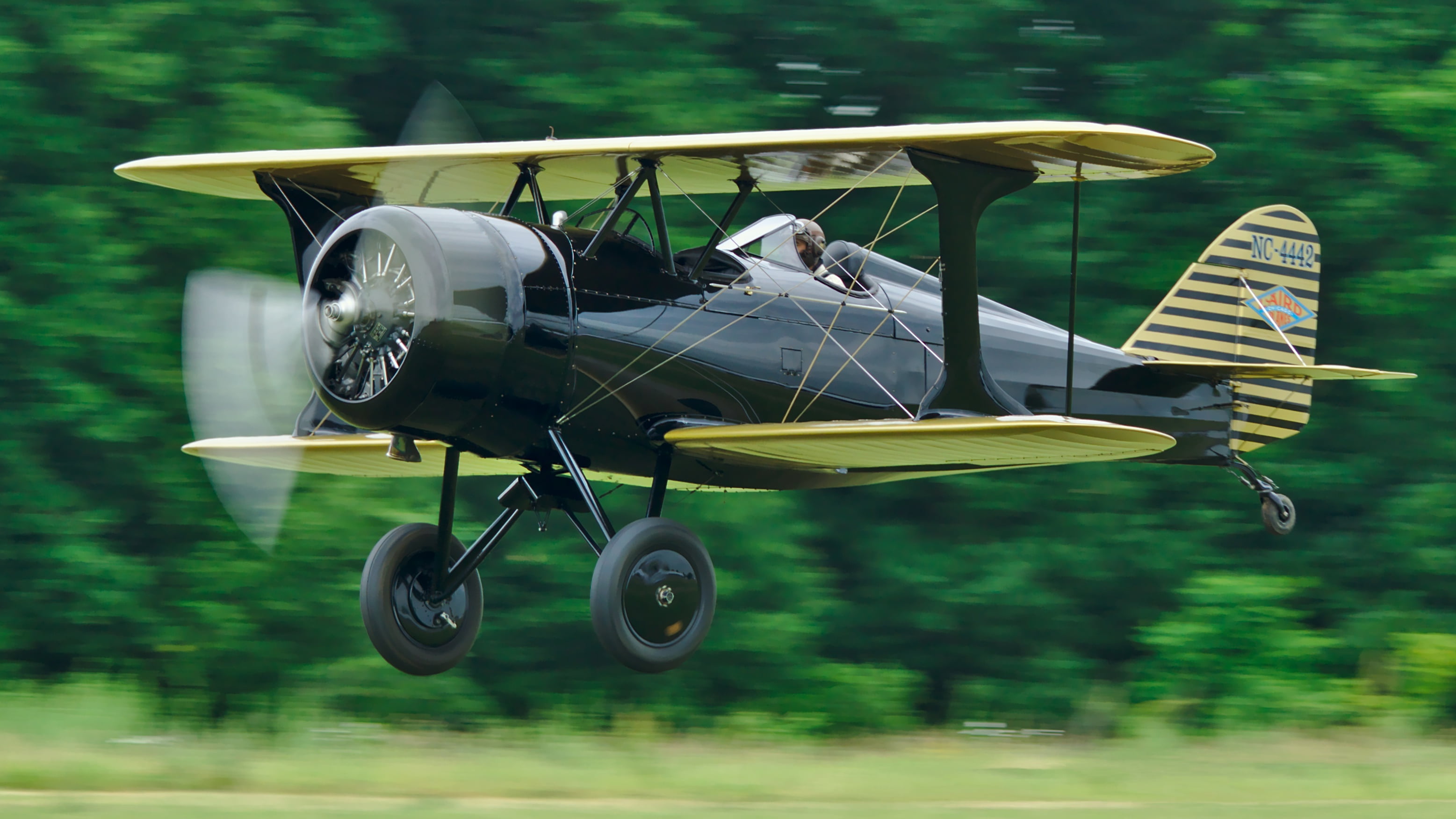 tree, sports racing biplane 1929, leisure activity, lifestyles, single-engine, sport, motion, transportation, focus on foreground, real people, HD Wallpaper