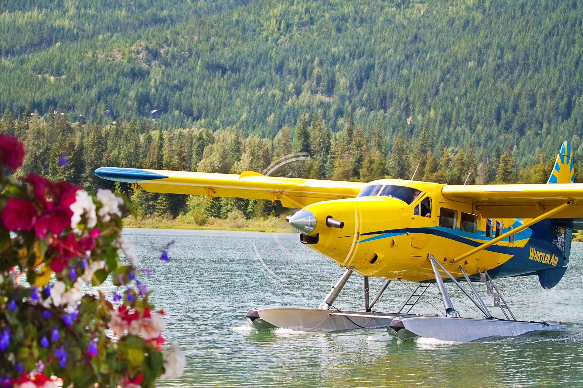 day, 1080P, growth, lake, landscape, transport, mode of transportation, transportation, outdoors, river, beauty in nature, water, tree, plant, plane, air vehicle, HD Wallpaper