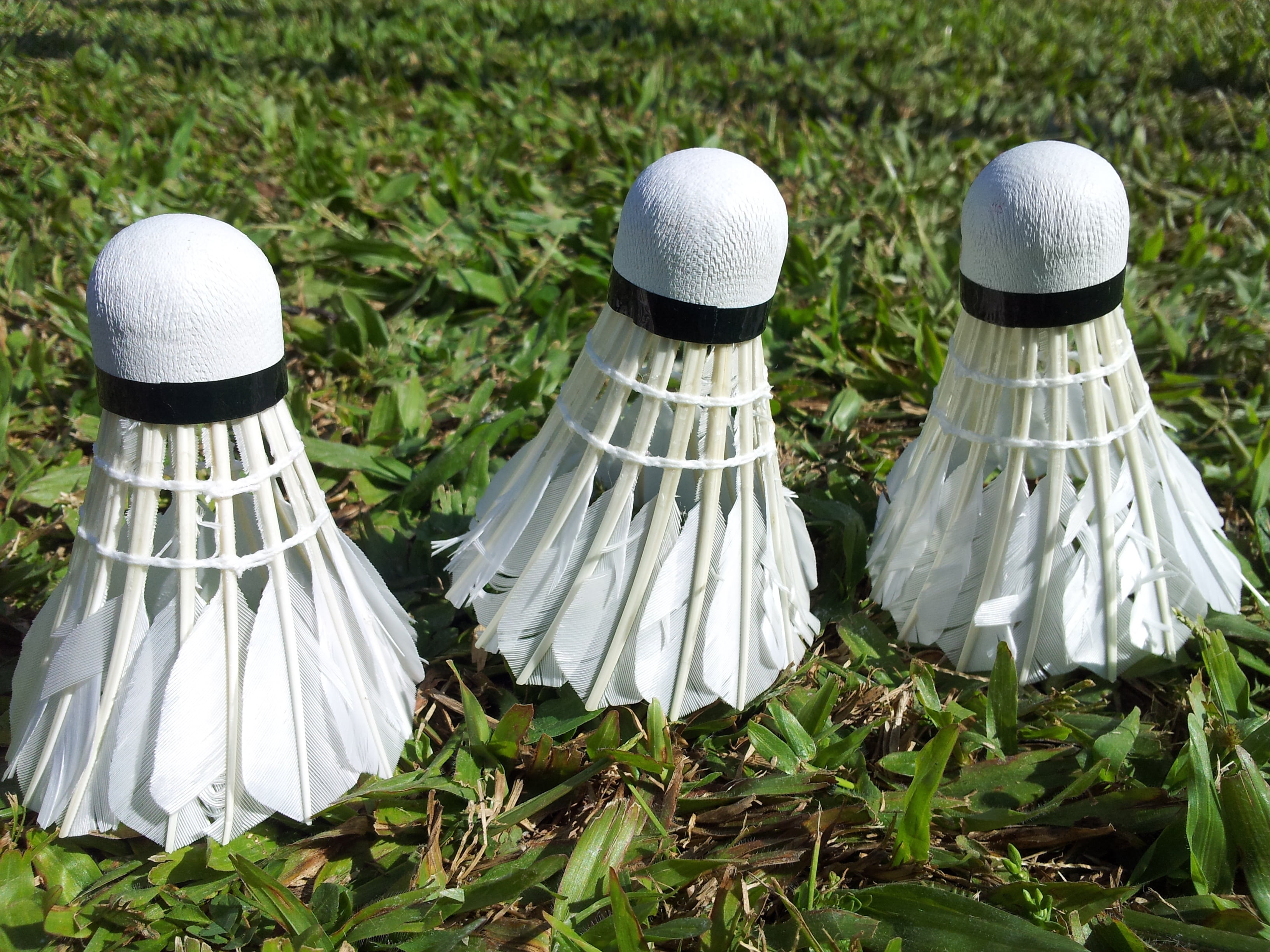 representation, human representation, grass, side by side, clothing, badminton, focus on foreground, cone, outdoors, field, close-up, white, cork, green color, HD Wallpaper