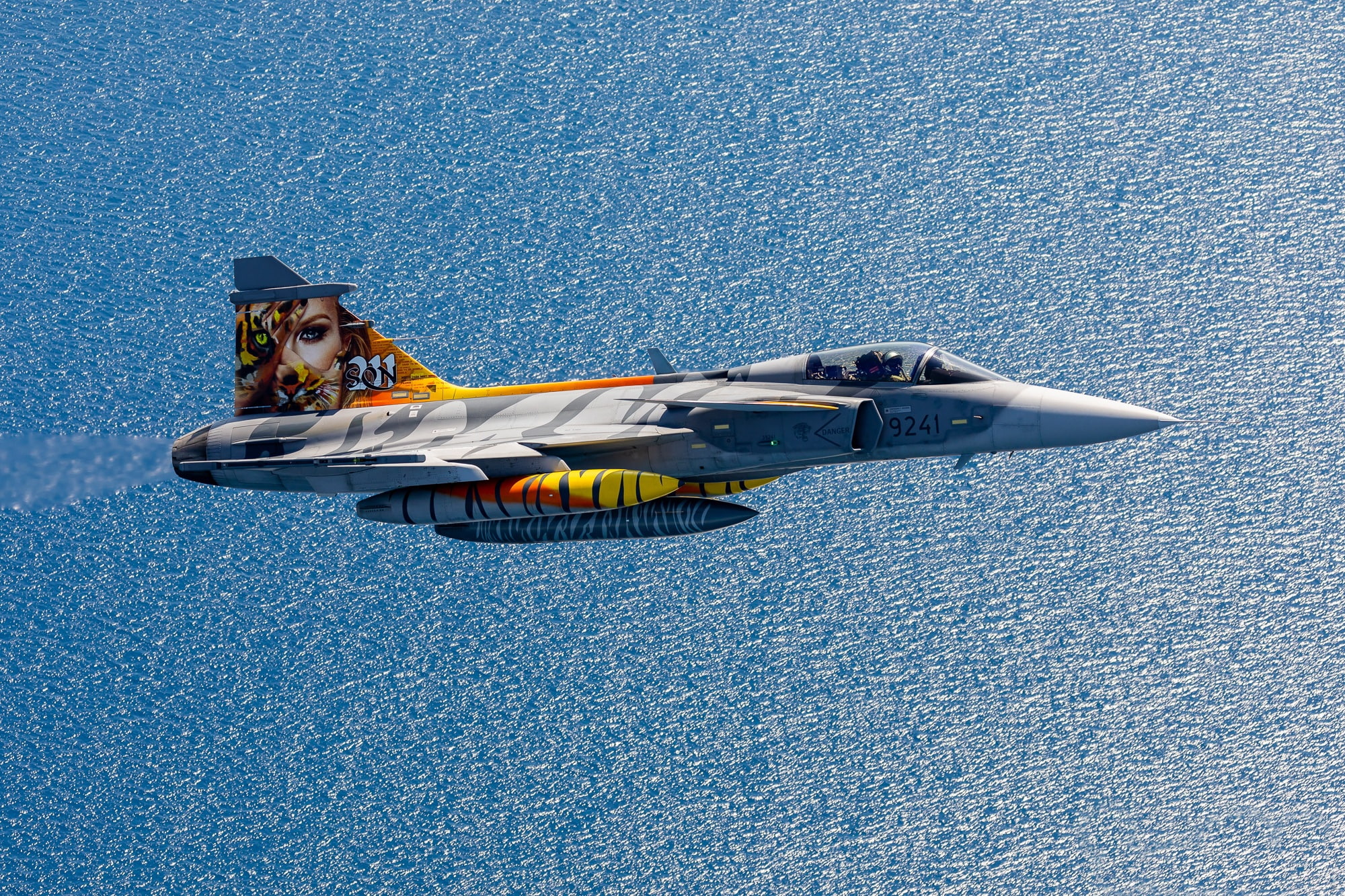 Swedish air force, Can JAS 39C Gripen, 1080P, flight, multi-role fighter, HD Wallpaper